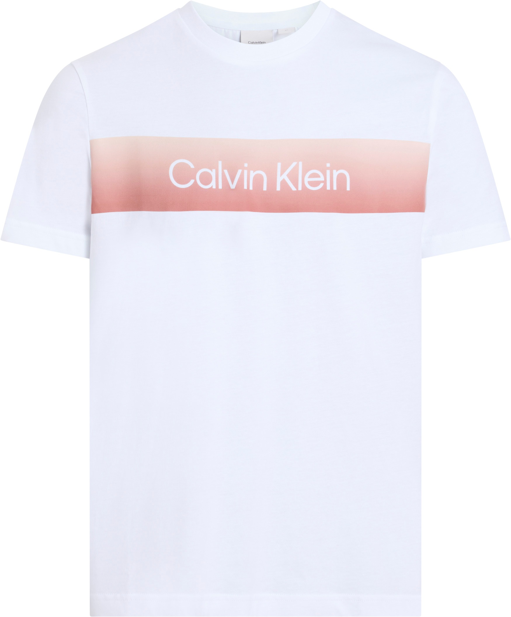 Calvin Klein T-Shirt »LINEAR OMBRE CHEST LOGO T-SHIRT«, mit Ombré-Logo-Druck