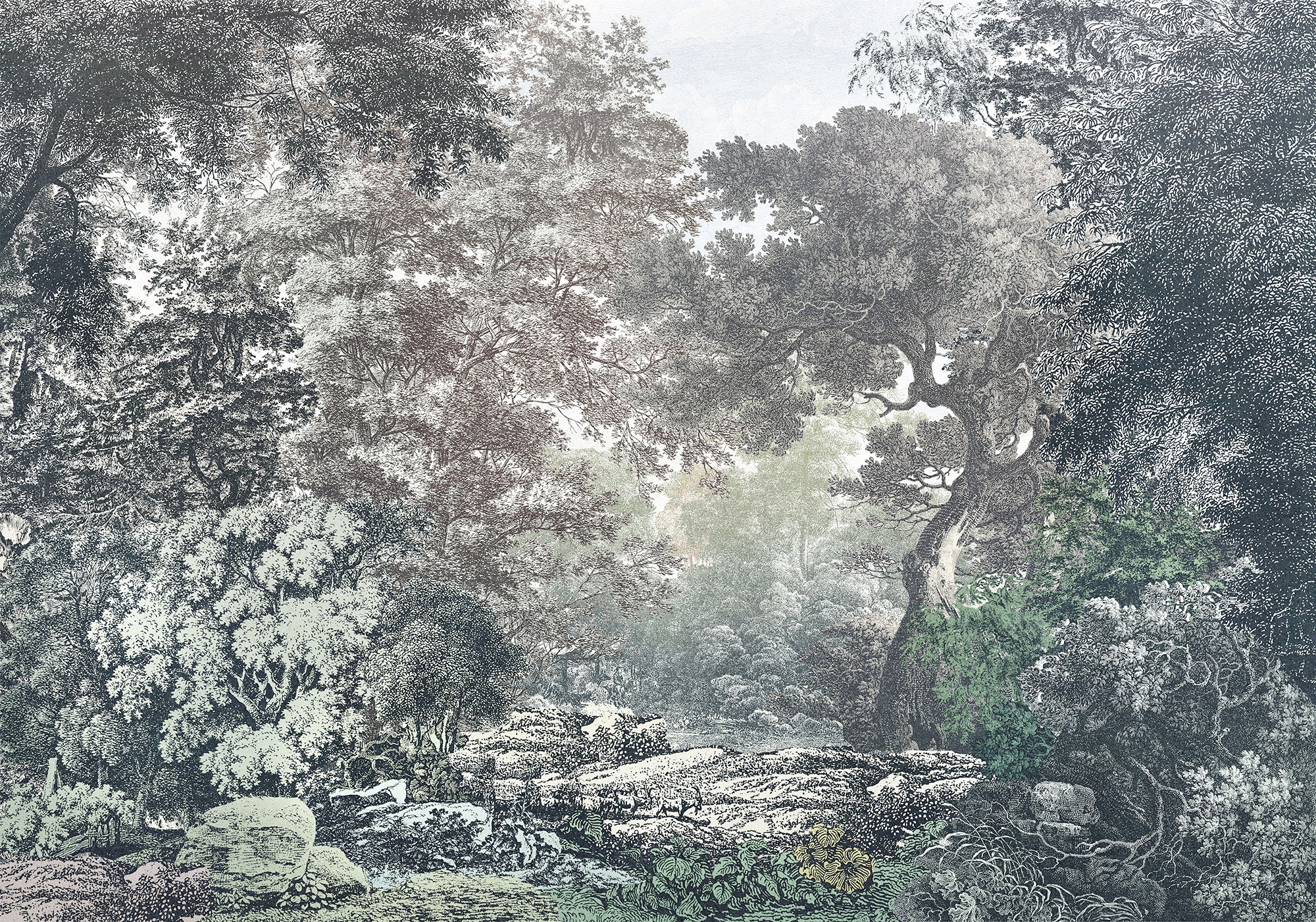 Komar Vliestapete »Fairytale Forest«, 400x280 cm (Breite x Höhe), Vliestapete, 100 cm Bahnbreite