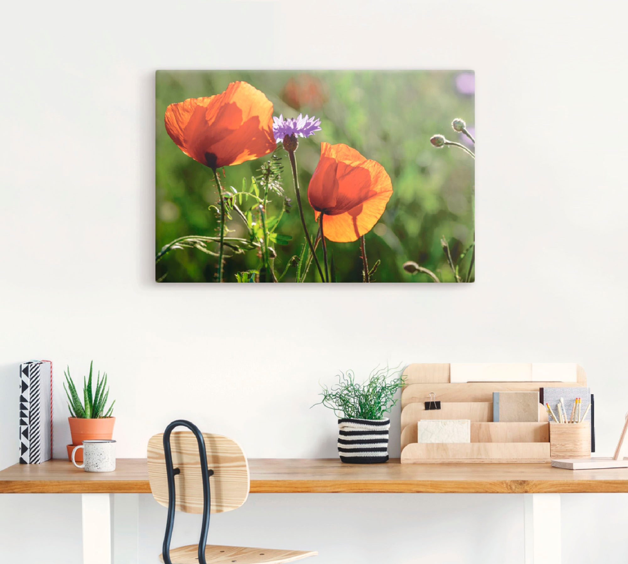 Artland Wandbild »Mohnblumen im Frühling«, Blumen, (1 St.), als Alubild, Outdoorbild, Leinwandbild in verschied. Größen