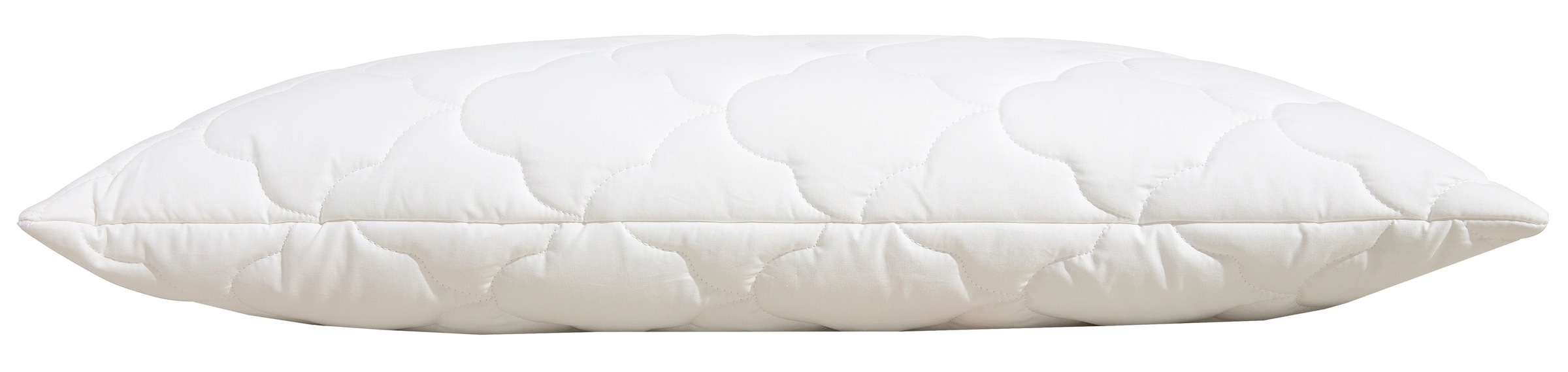 Beco Kopfkissen »EcoWell«, Füllung: Polyester, Bezug: Bio-Baumwolle oder Mi günstig online kaufen