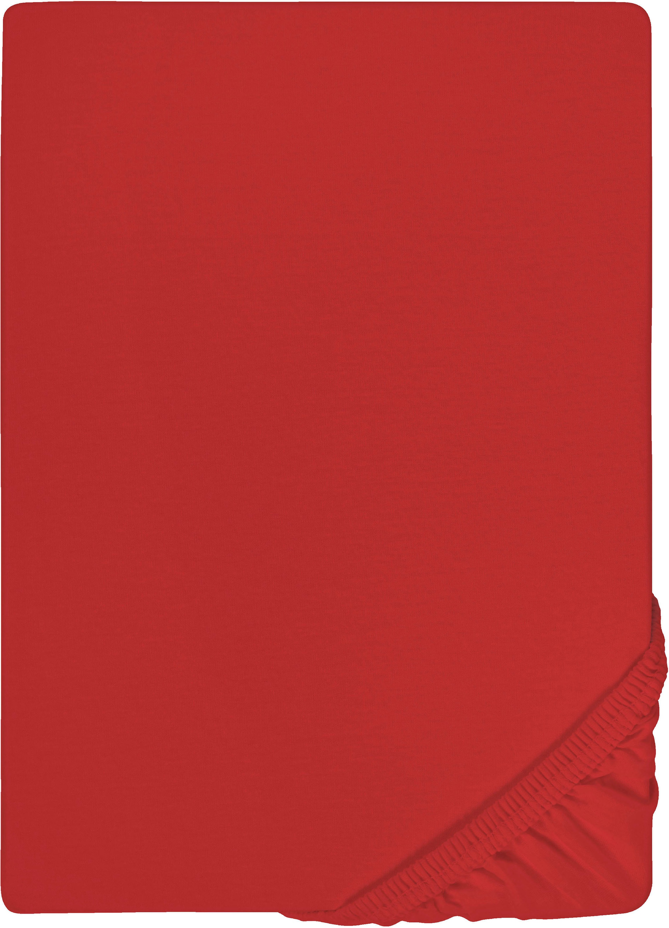 Biberna Spannbettlaken »Thea in Gr. 90x220, 140x220 oder 180x220 cm«, aus Baumwolle, für Matratzen bis 25 cm Höhe, Bettlaken, Spannbetttuch