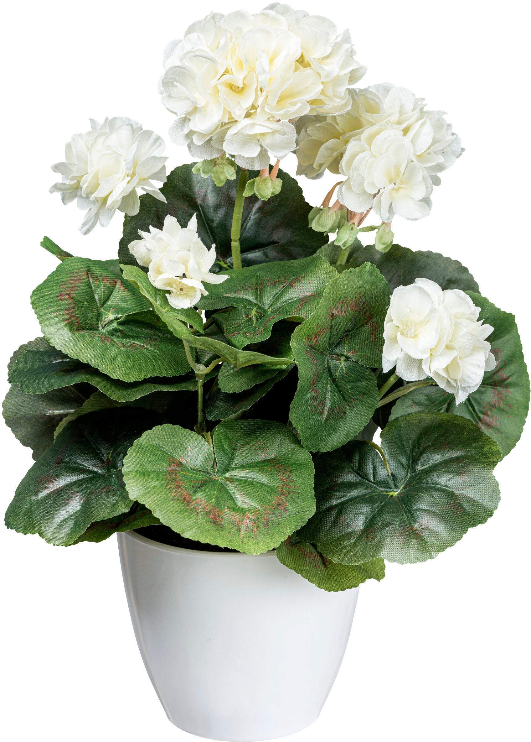 Creativ »Mohn«, kaufen Kunstblume St.), mit (1 green dekorativer Raten auf Blüte