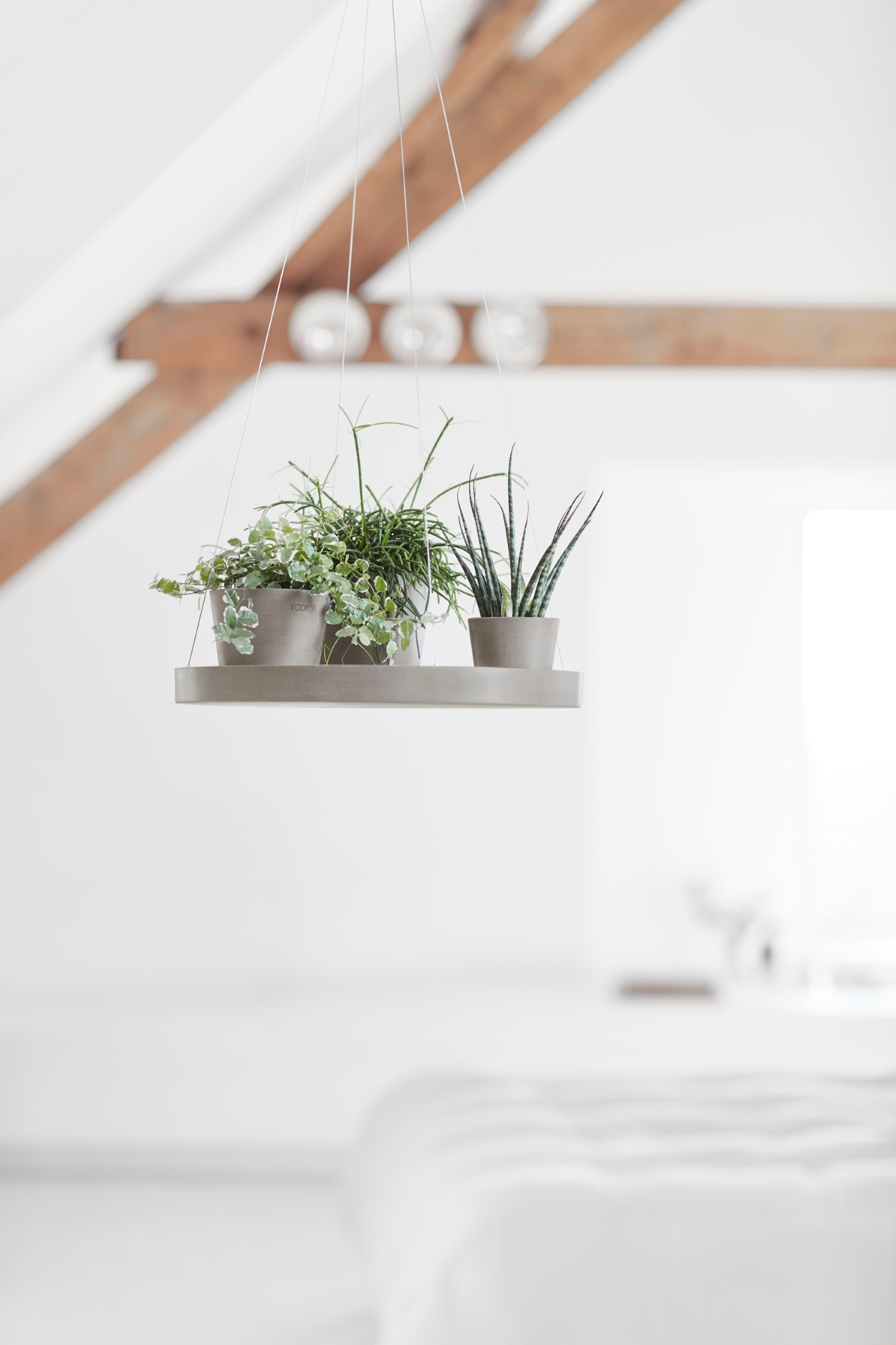 ECOPOTS Topfuntersetzer »hängend 36 Taupe« für innen und außen: frostsicher, bruchsicher und lichtbeständig