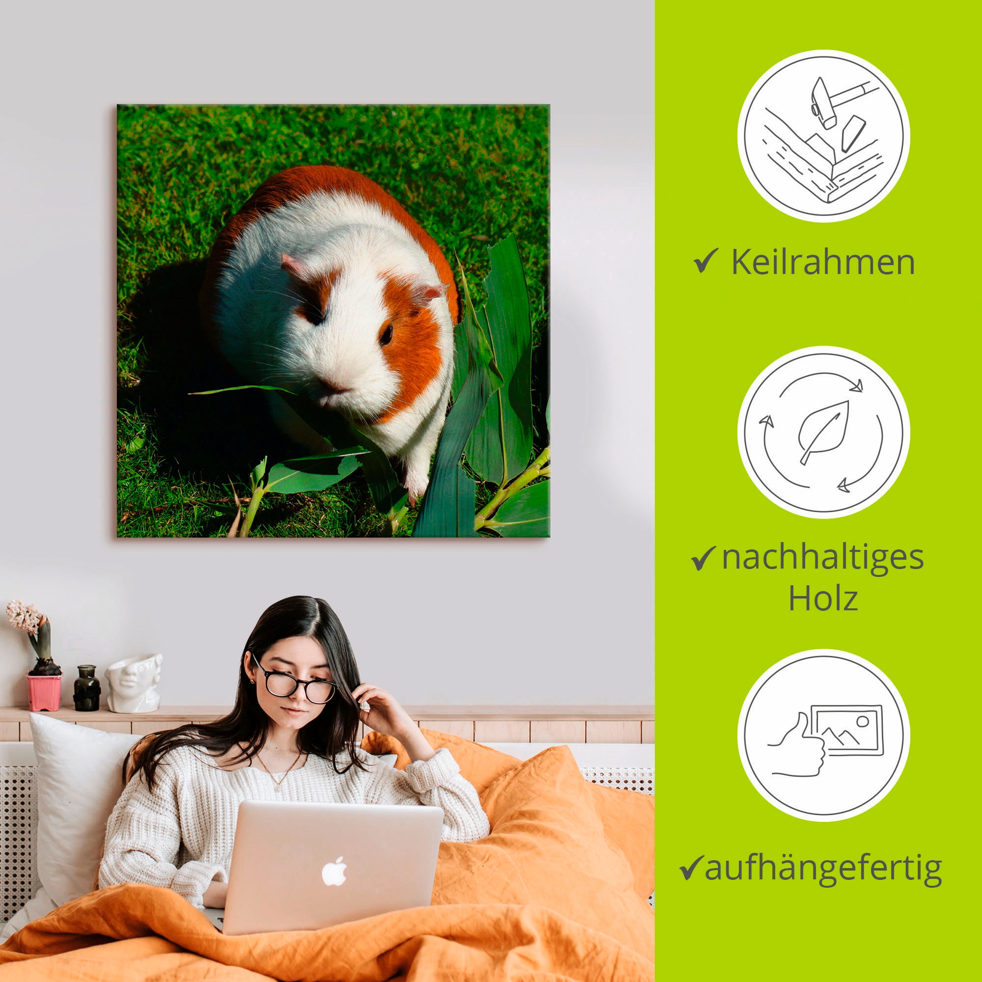 Artland Wandbild »Orange weißes Meerschweinchen«, Haustiere, (1 St.), als Alubild, Outdoorbild, Leinwandbild in verschied. Größen