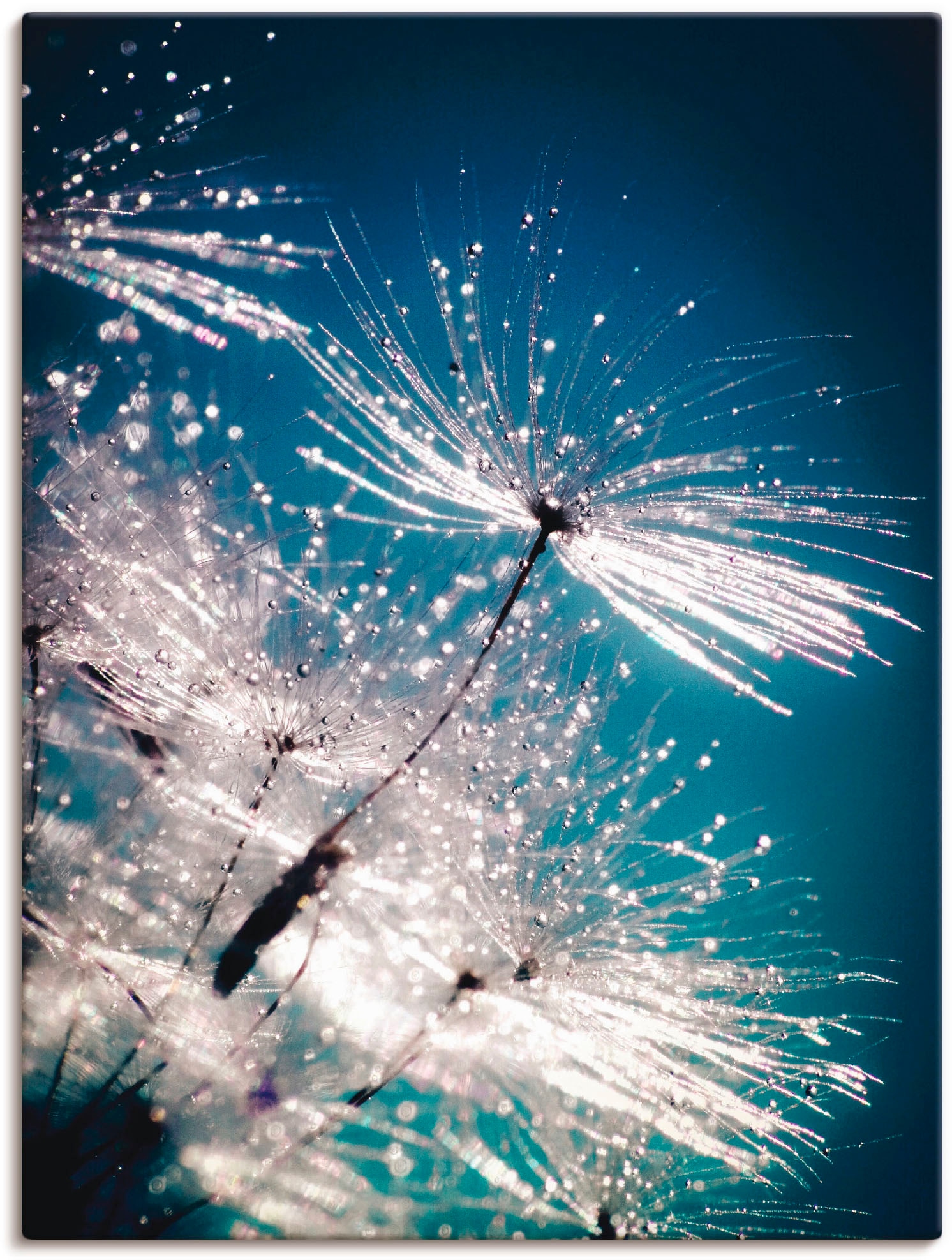 Artland Wandbild "Pusteblume Kristallschirmchen", Blumen, (1 St.), auf Keil günstig online kaufen