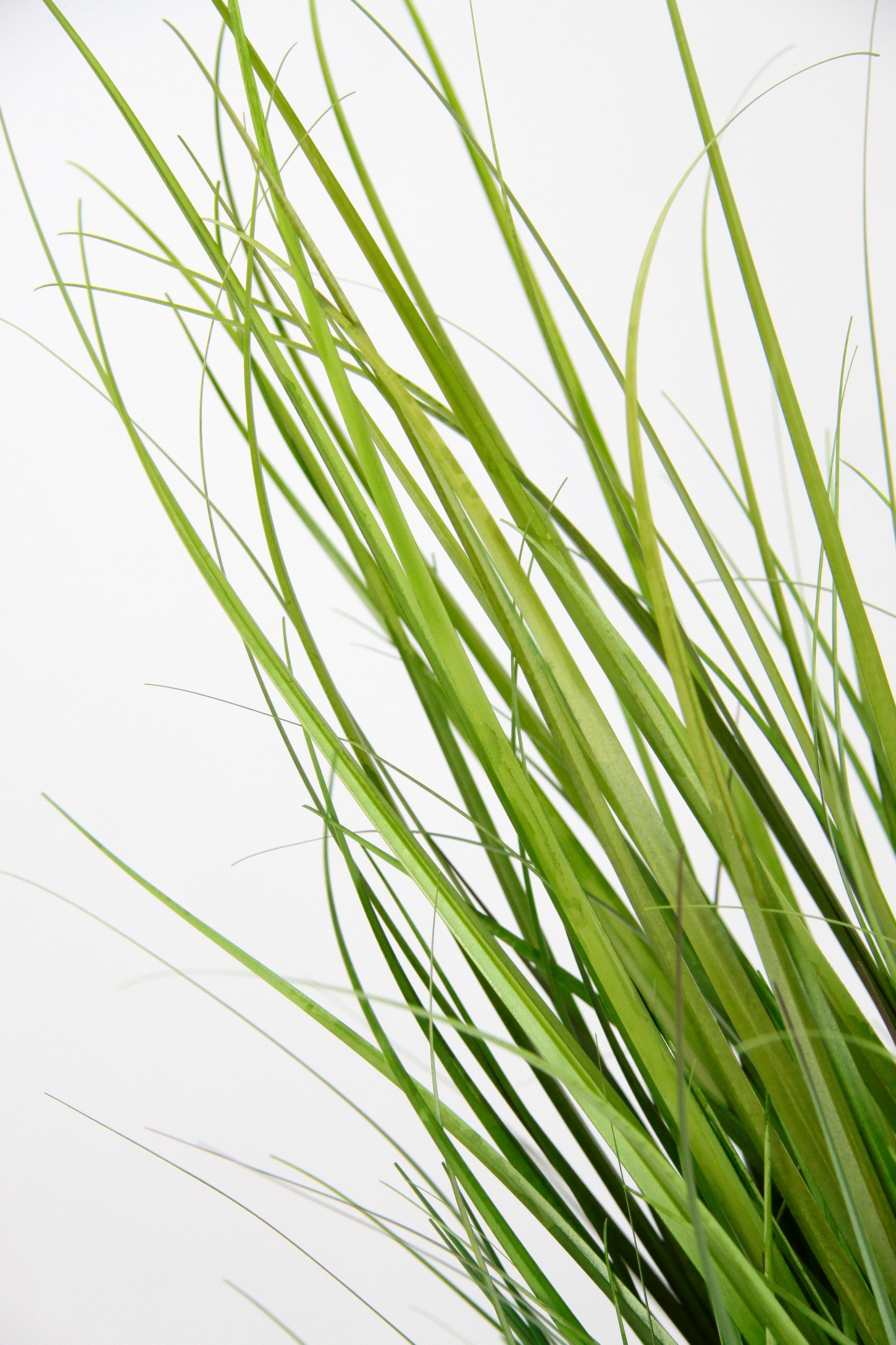 I.GE.A. Kunstpflanze »Grasbusch«, Kunstgras