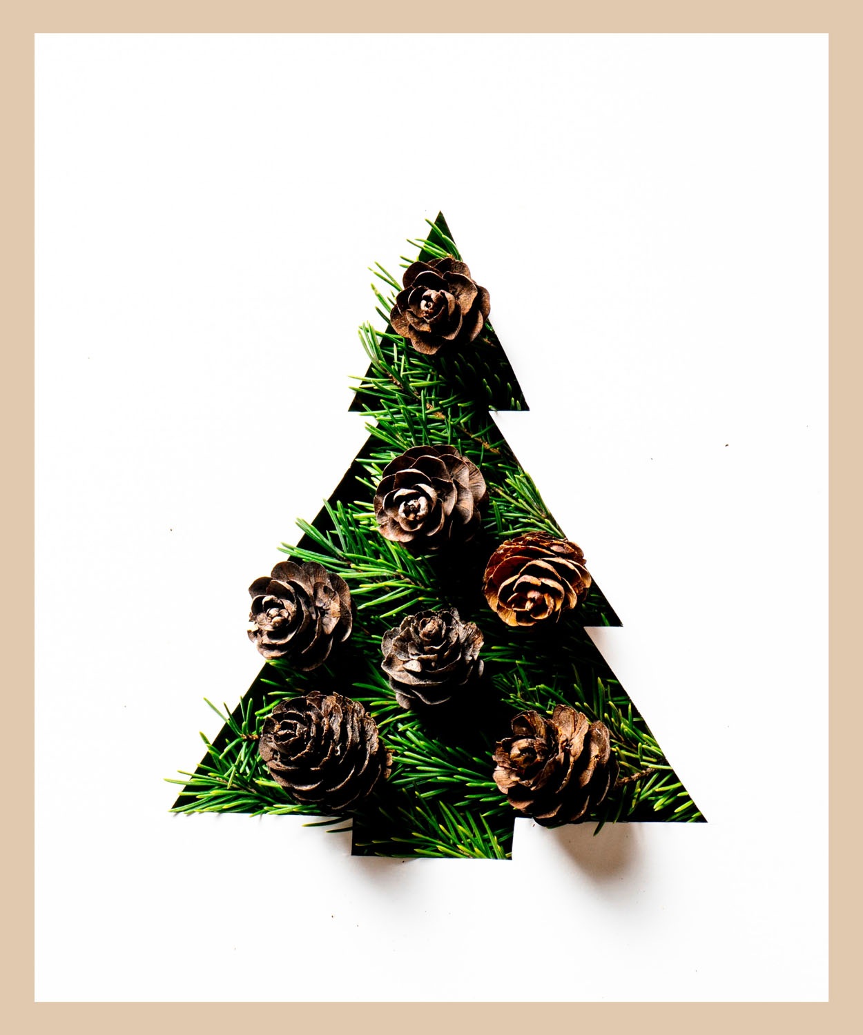 queence Bild mit Rahmen »Tannenbaum« Jahreszeiten   Natur   Tannenbaum   We günstig online kaufen