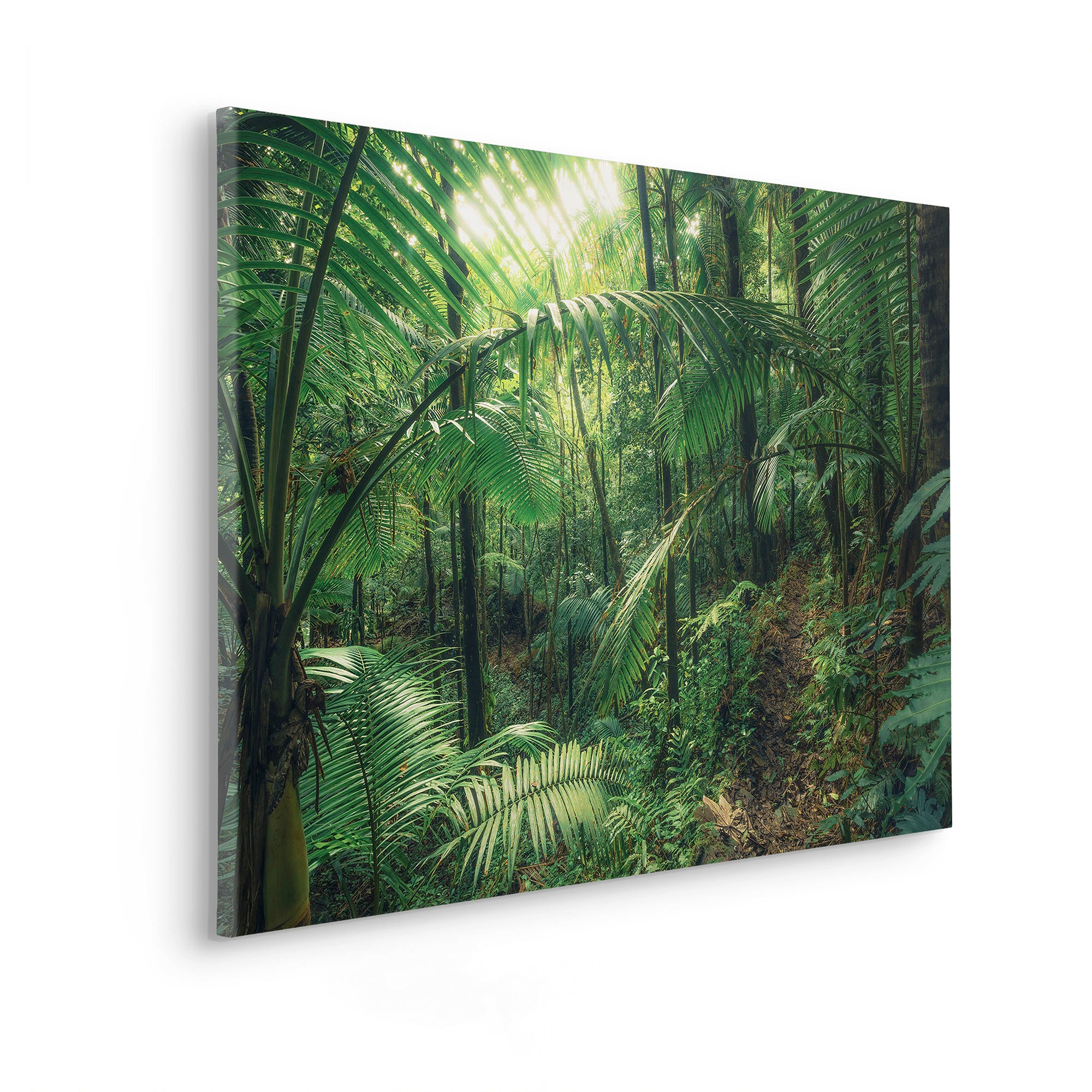 Komar Leinwandbild »Jungleflair - Größe 90 x 60 cm« Baum   Berge   Blumen günstig online kaufen