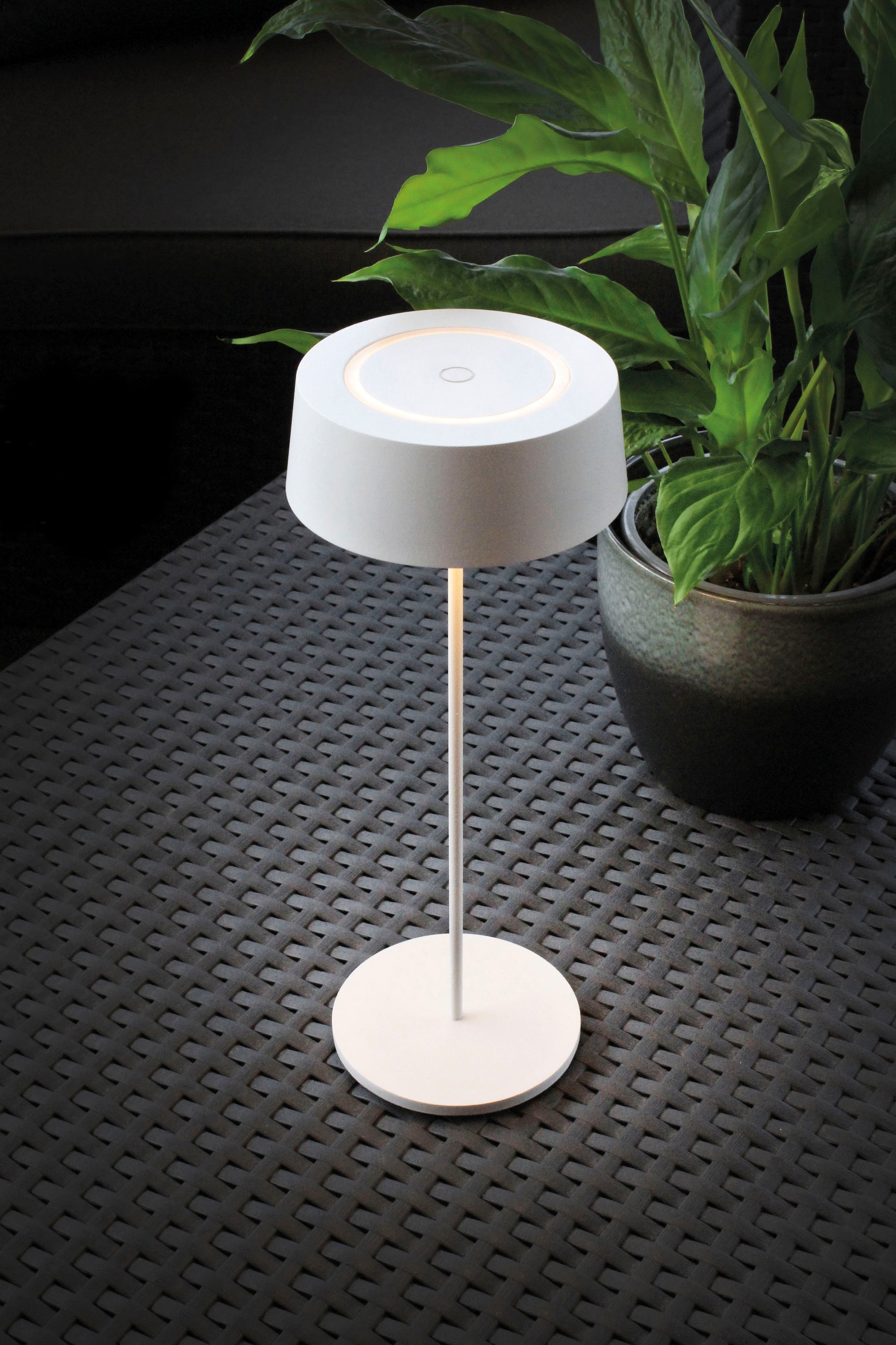 ECO-LIGHT LED Tischleuchte »COCKTAIL«, Leuchtmittel LED-Modul | LED fest integriert, SCHÖNER WOHNEN DESIGN AWARD