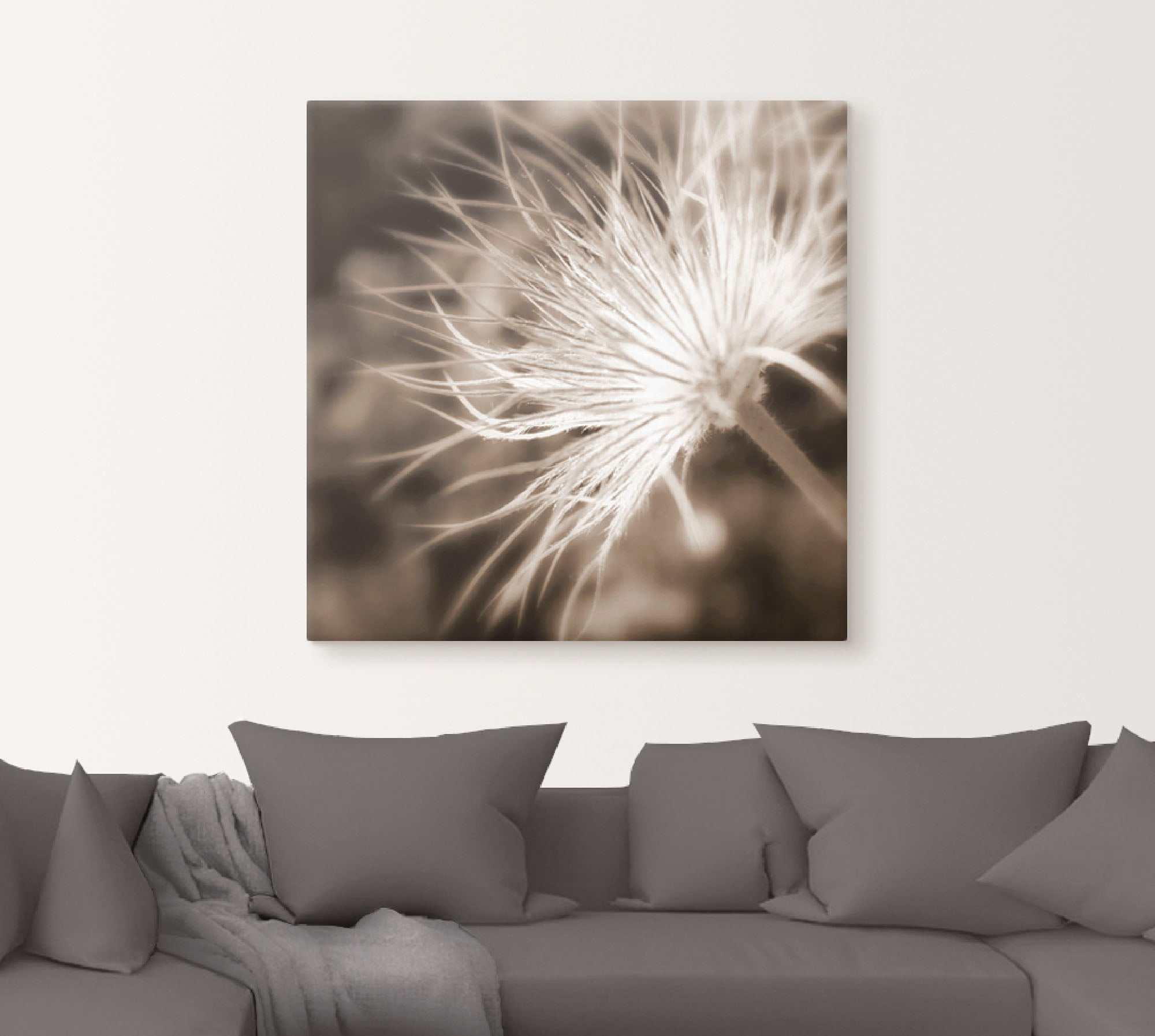 Artland Wandbild »leicht wie eine Feder«, Blumen, (1 St.), als Leinwandbild, Poster in verschied. Größen