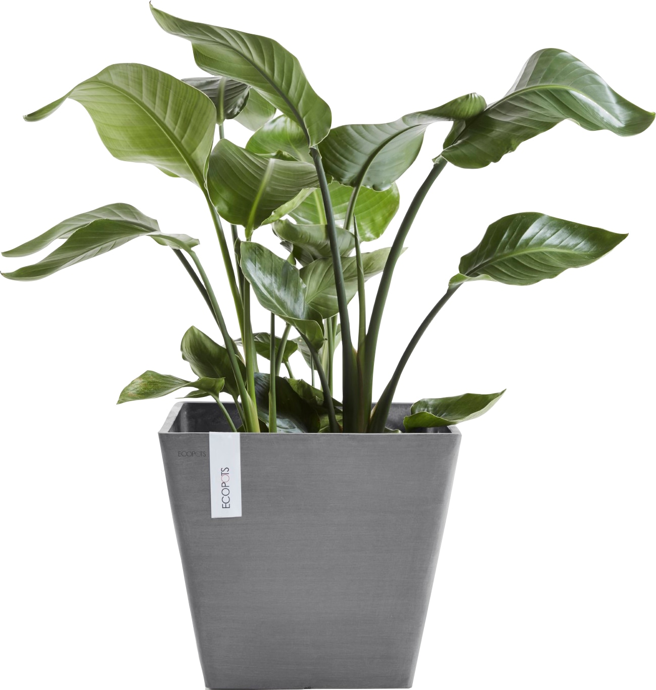 ECOPOTS Blumentopf »ROTTERDAM Grey«, BxTxH: 40x40x35 cm