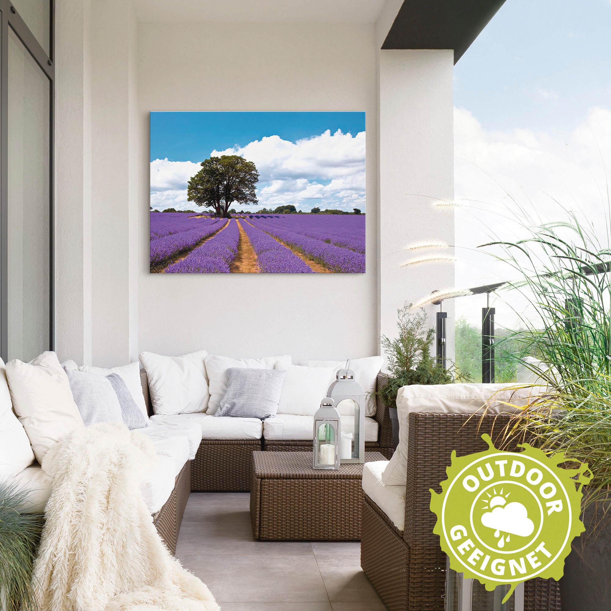 Artland Wandbild »Schönes Lavendelfeld im Sommer«, Felder, (1 St.), als Alubild, Outdoorbild, Leinwandbild in verschied. Größen