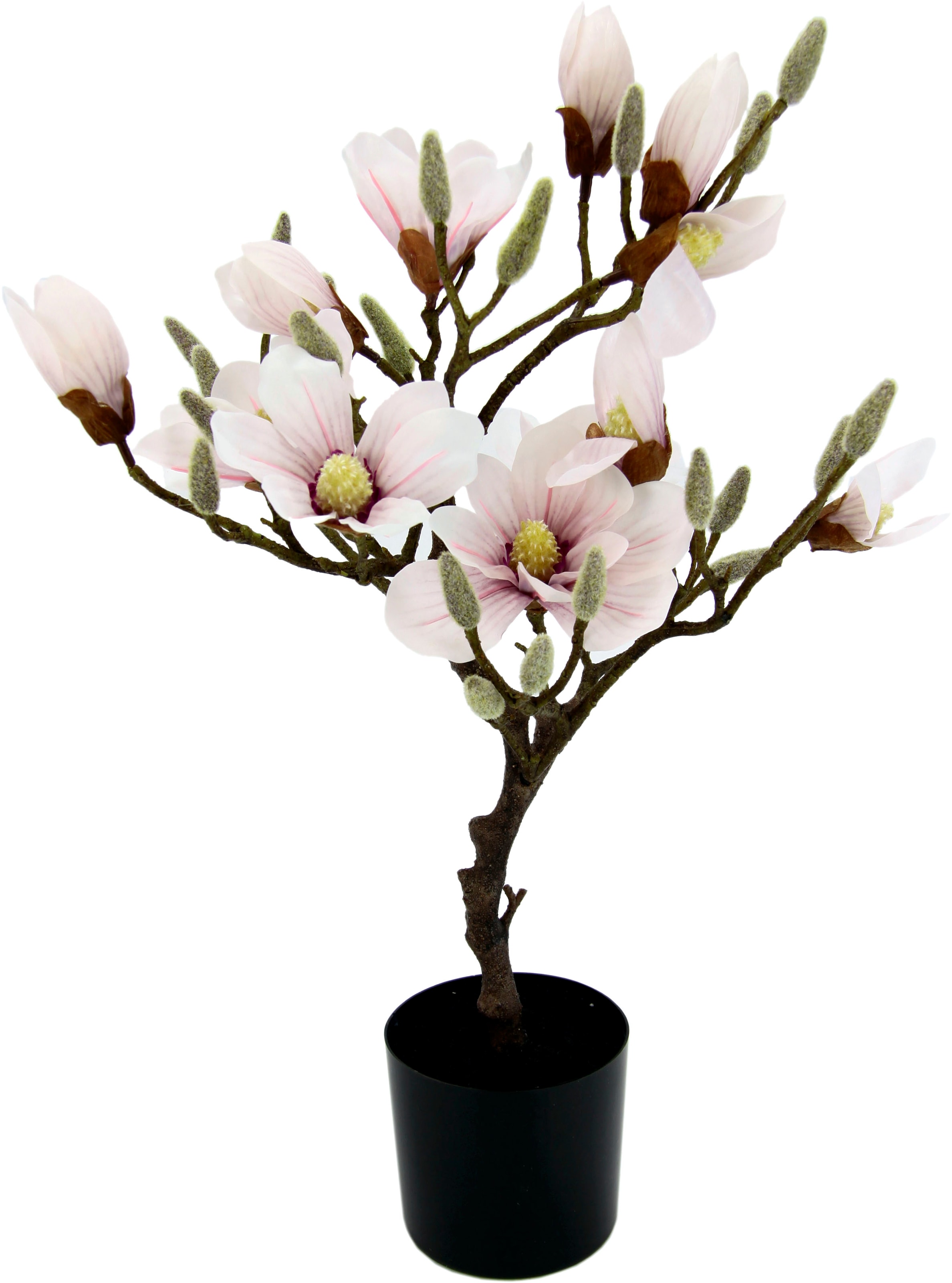 I.GE.A. Kunstbaum »Magnolienbaum«, im Kunststofftopf auf Rechnung kaufen | Übertöpfe