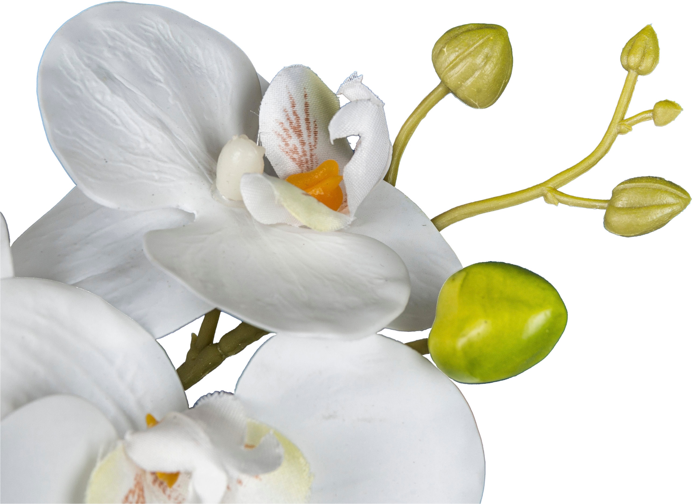 Creativ green Kunstorchidee »Orchidee Phalaenopsis«, mit naturgetreuen Blüten