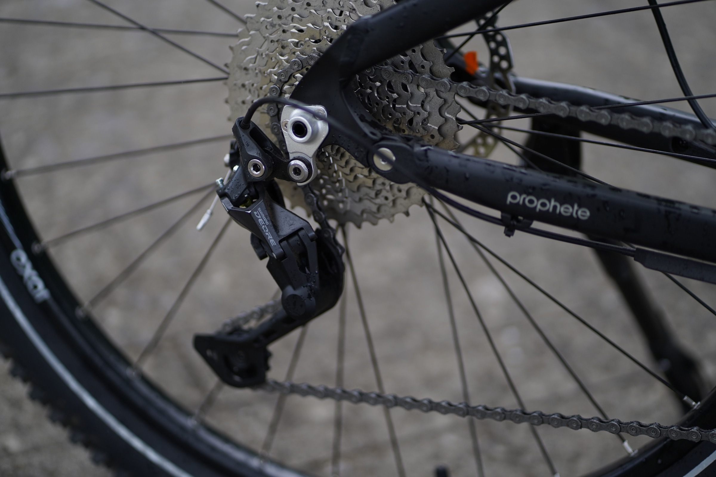 Prophete E-Bike »Stack 5.8«, 10 Gang, Shimano, Deore, Mittelmotor 250 W