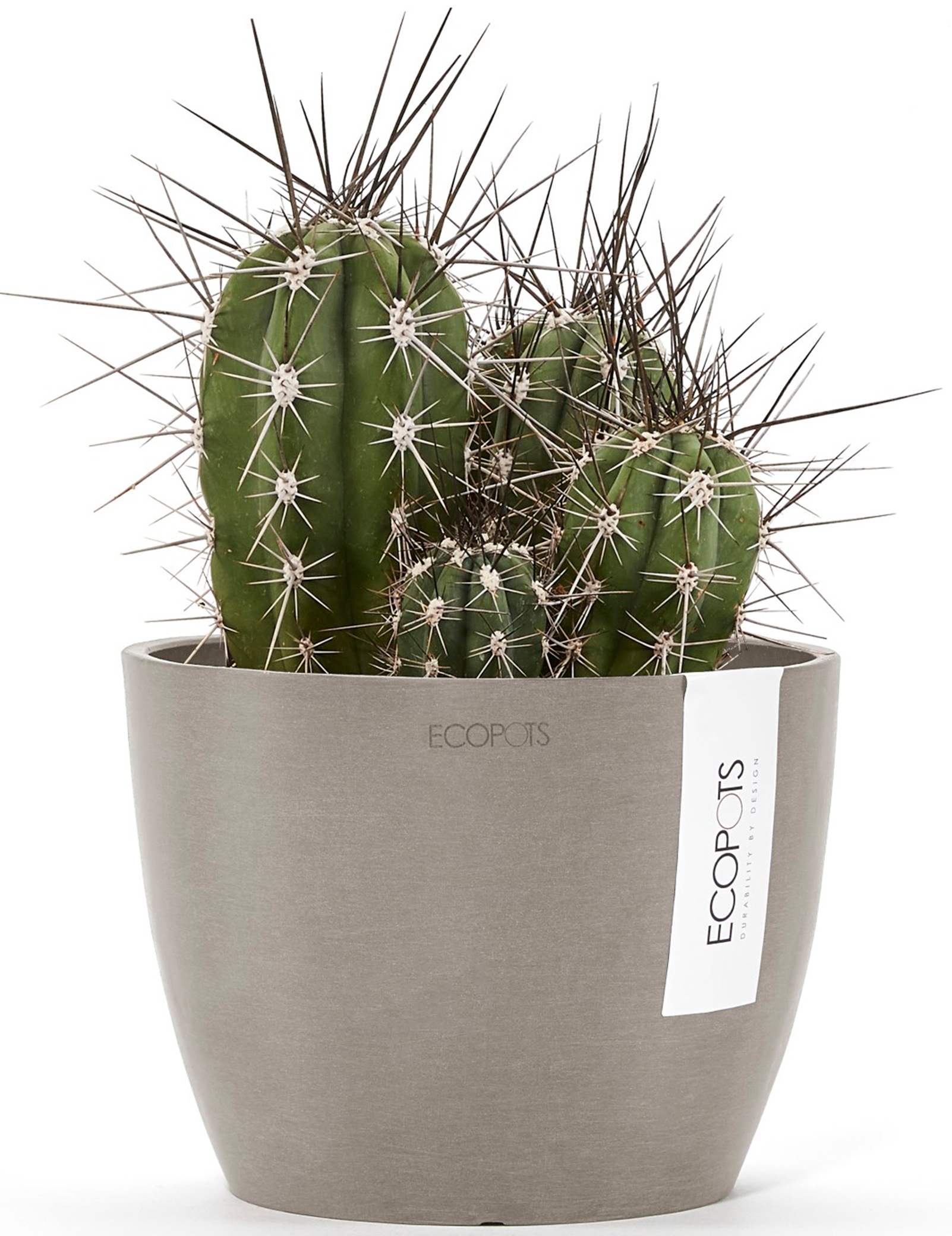 ECOPOTS Blumentopf »Stockholm Mini 16 Taupe«, für innen und außen: frostsicher, bruchsicher und lichtbeständig