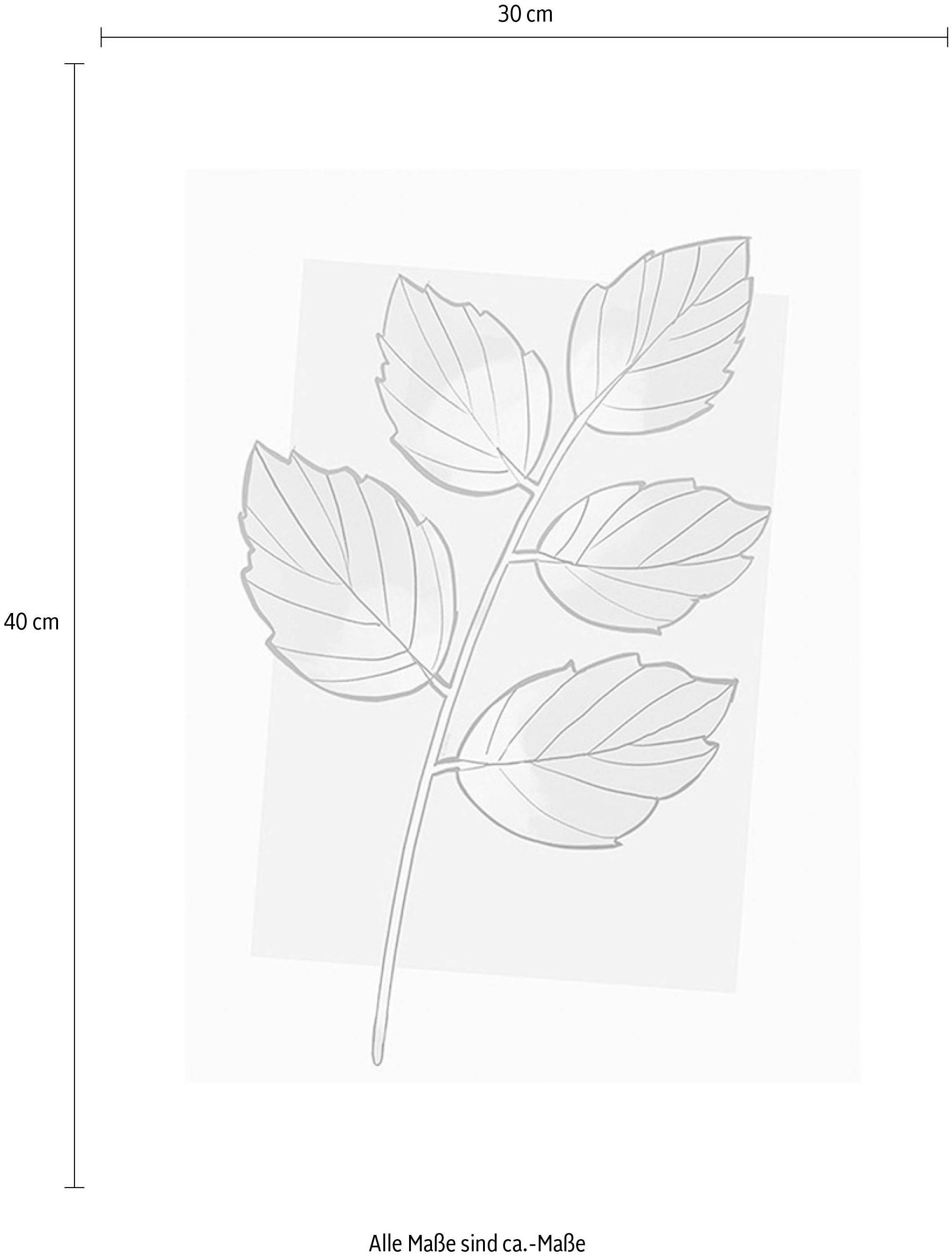 Komar Bild »Cinderella Plant«, Disney, (1 St.), Wandbild zur Dekoration im Kinderzimmer - ohne Rahmen