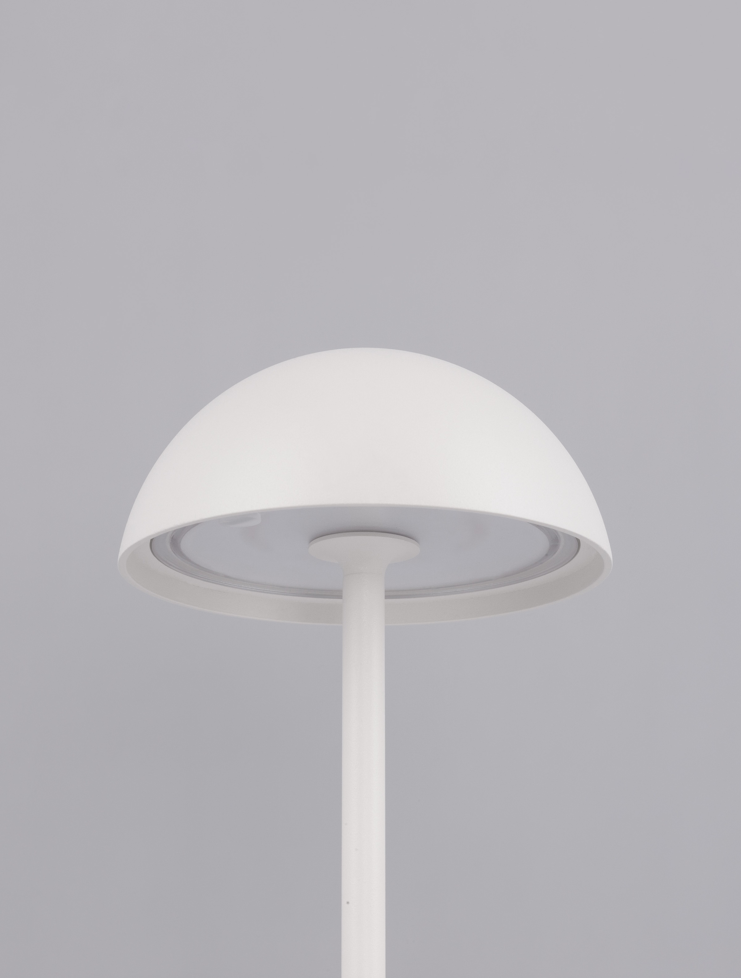 Nova Luce Außen-Tischleuchte »ROSE« LED-Modul 1 Stk. Warmweiß Dimmbar