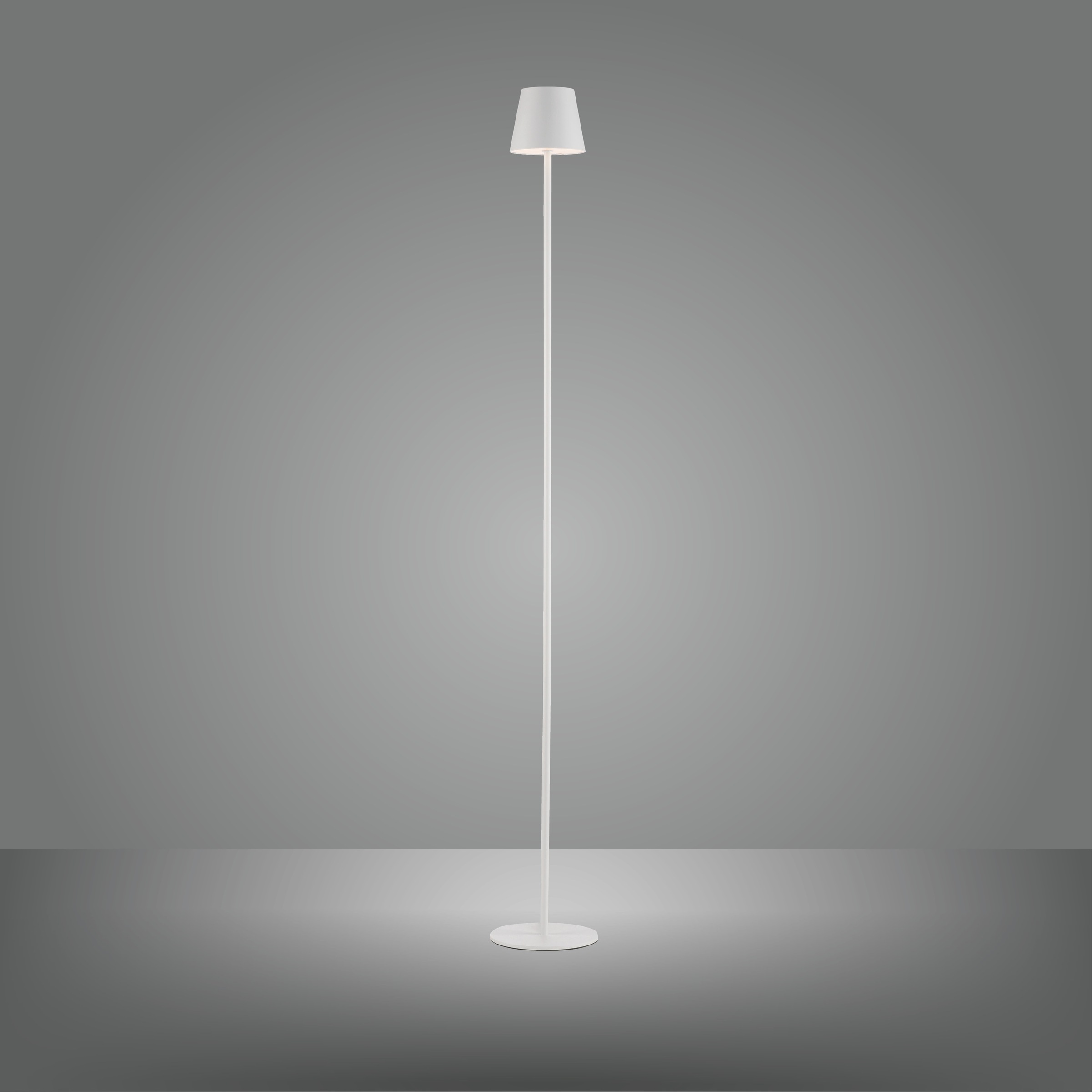 JUST LIGHT Stehlampe »EURIA«, 1 flammig, Leuchtmittel LED-Modul | LED fest integriert, Akkuleuchte