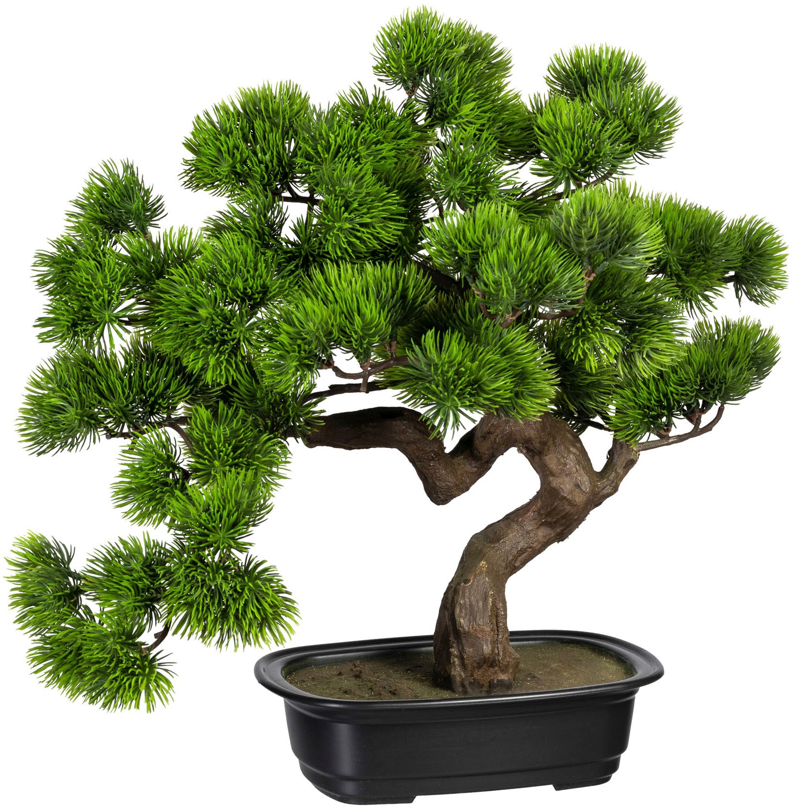 Creativ green Kunstbonsai »Bonsai Kiefer« günstig online kaufen