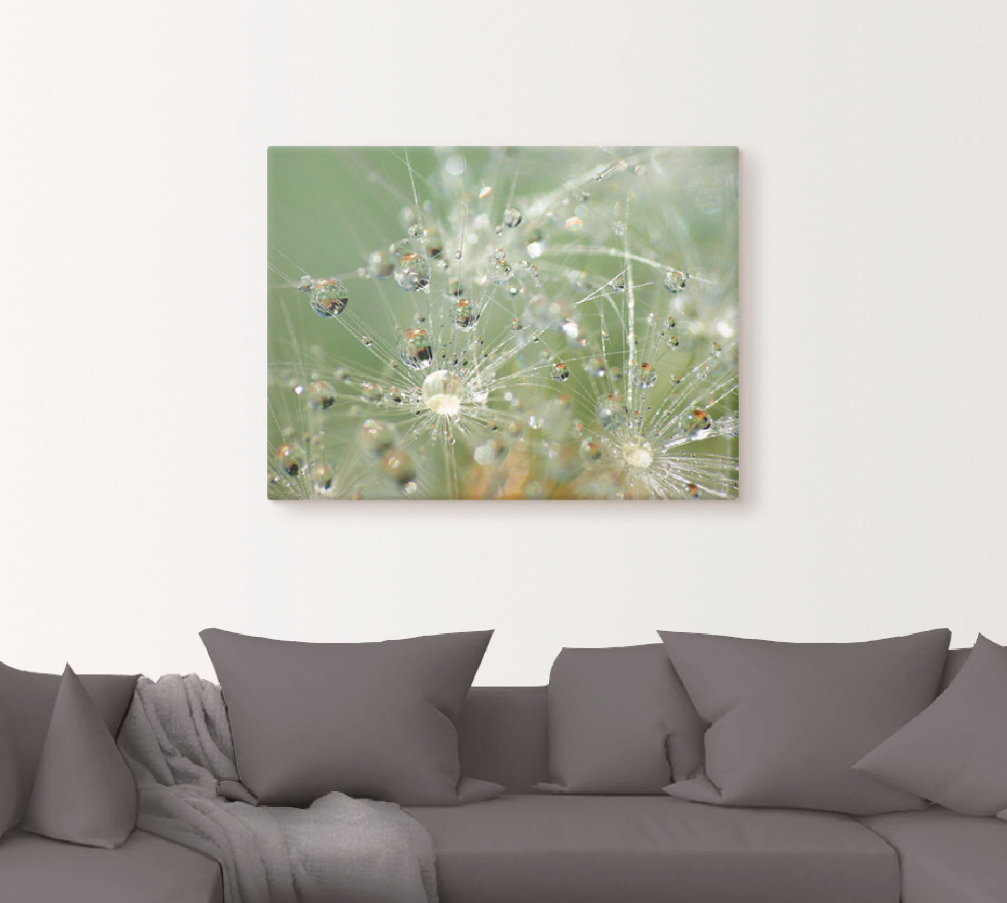 Artland Wandbild »Wassertropfen Pusteblume«, Blumen, (1 St.), als Leinwandb günstig online kaufen