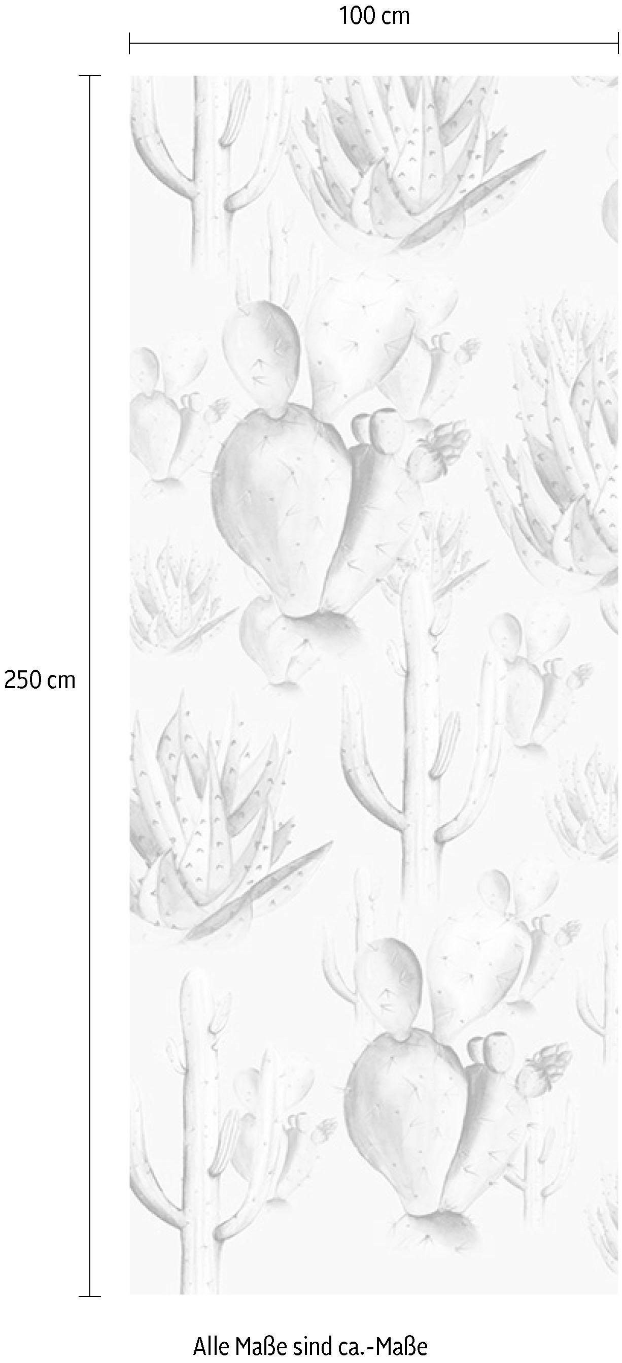 Komar Vliestapete, (Breite x Höhe), Vliestapete, 100 cm Bahnbreite
