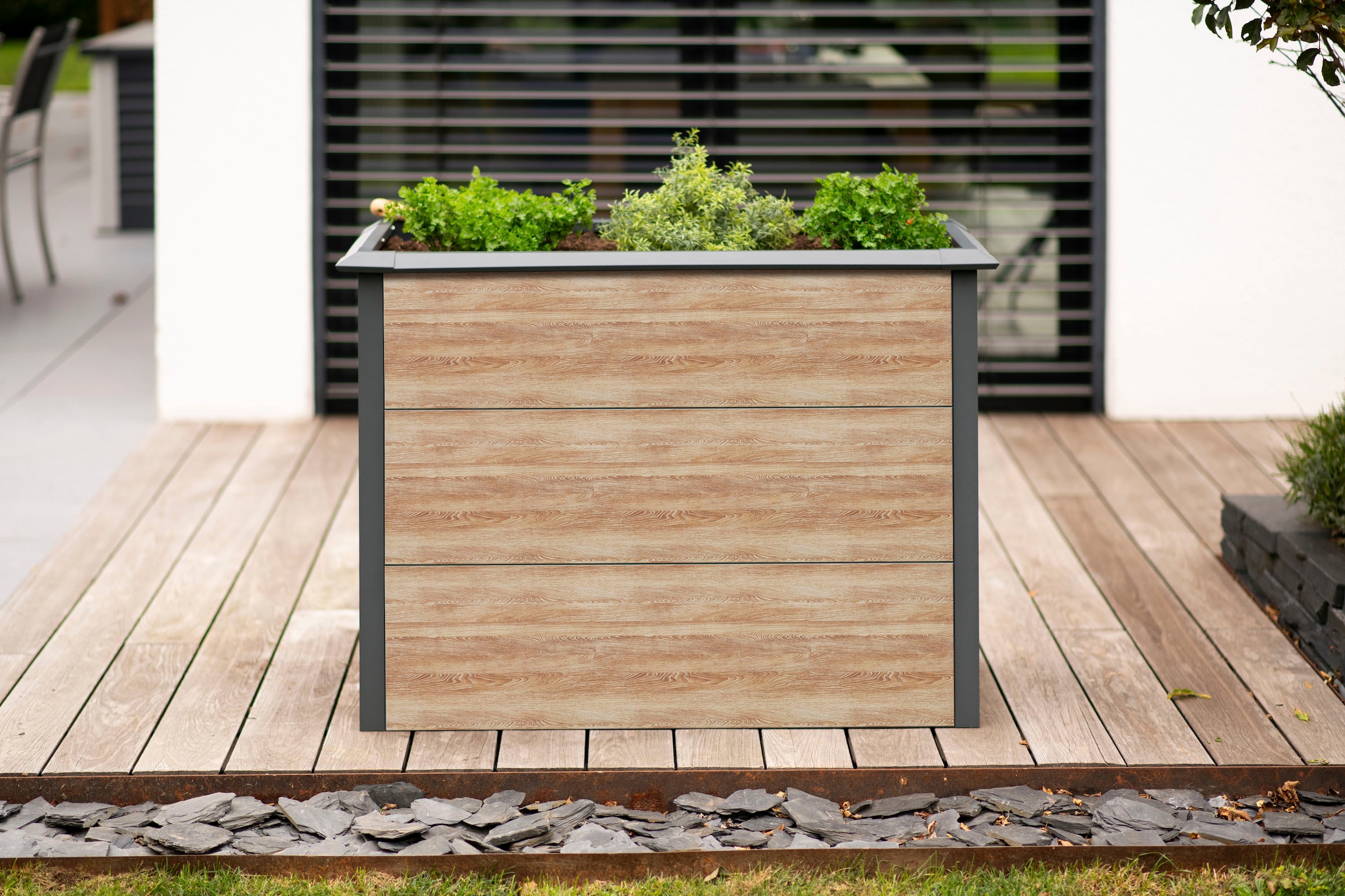 50NRTH Hochbeet »Metall Hochbeet »Primus-Multi M««, Inkl. Schneckenschutz, BxTxH: 100x50x77 cm