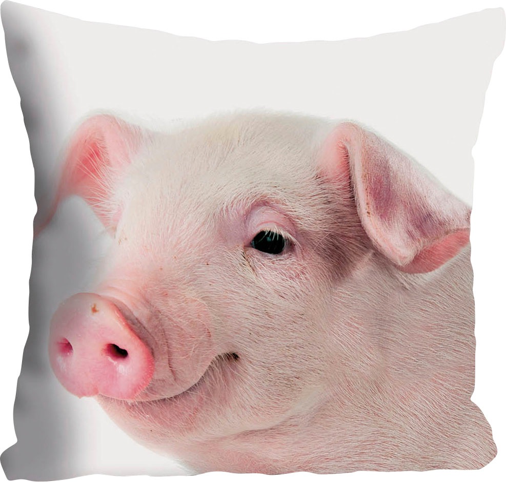 queence Dekokissen »Rebecca«, Kissenhülle,süßes Schweinchen,Rosa,Niedlich,T günstig online kaufen