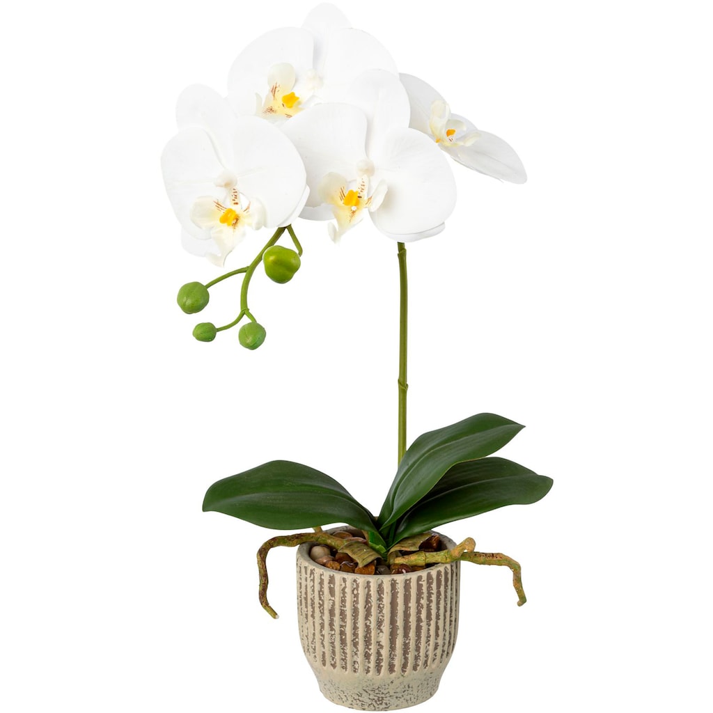 Creativ green Kunstorchidee »Orchidee Phalaenopsis im Keramiktopf«