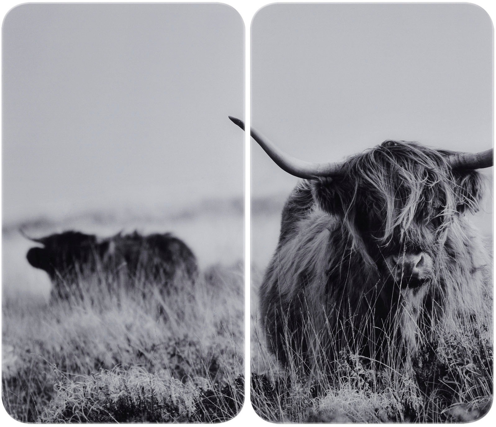 WENKO Herd-Abdeckplatte »Universal Modell Highland Cattle« Herdabdeckung fü günstig online kaufen