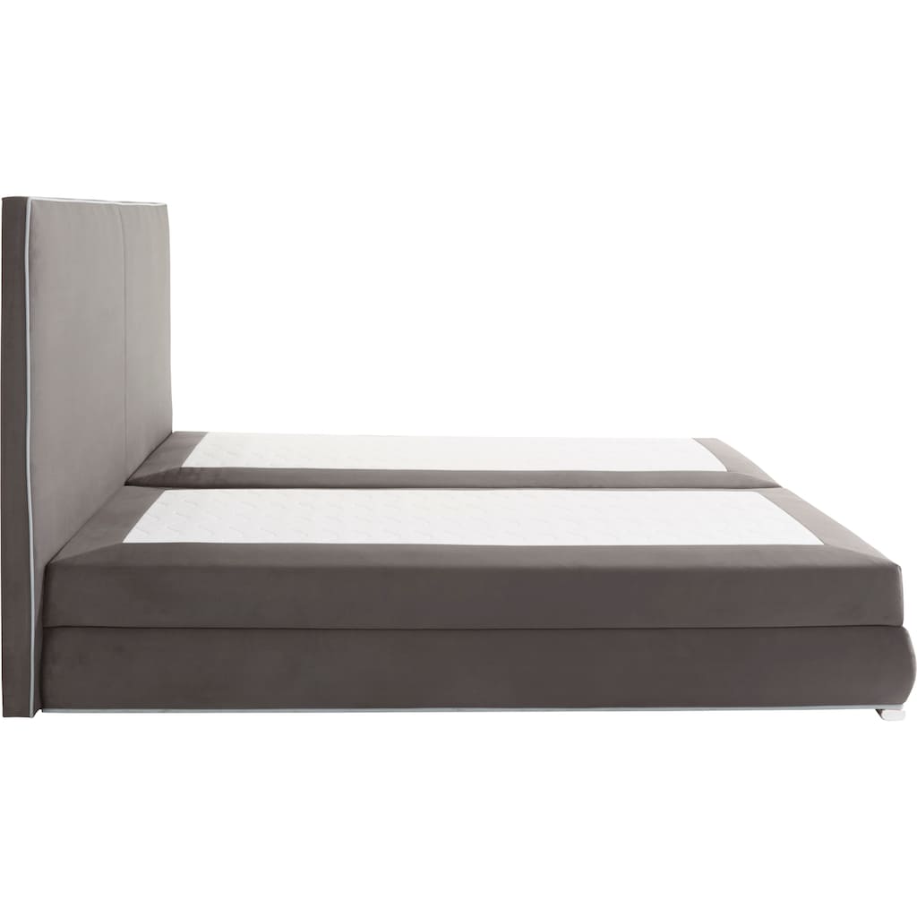 COLLECTION AB Boxspringbett