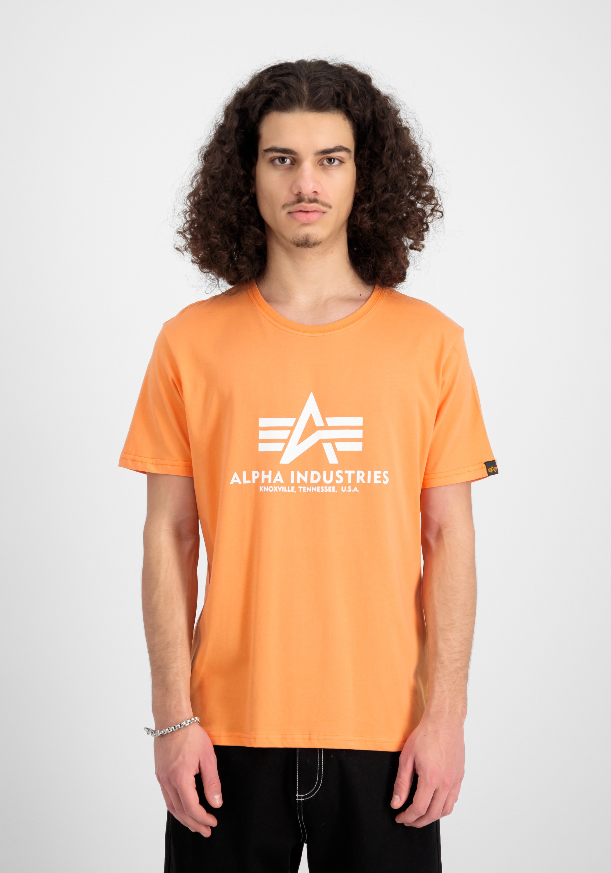 Alpha Industries T-Shirt »Basic T-Shirt BL«