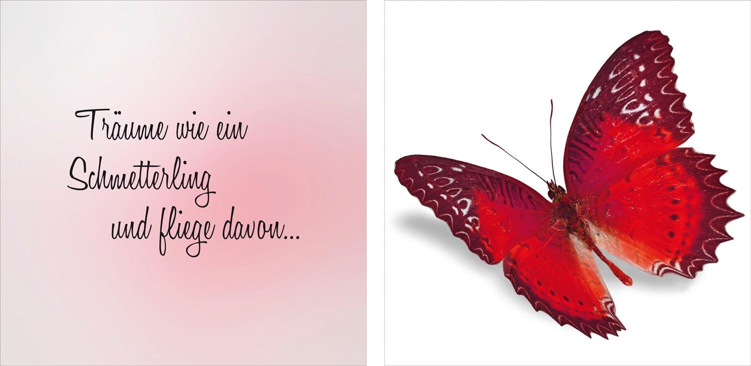 queence Leinwandbild »flieg davon«, Tiere-Schmetterlinge-Kunst-Modern-Spa-S günstig online kaufen