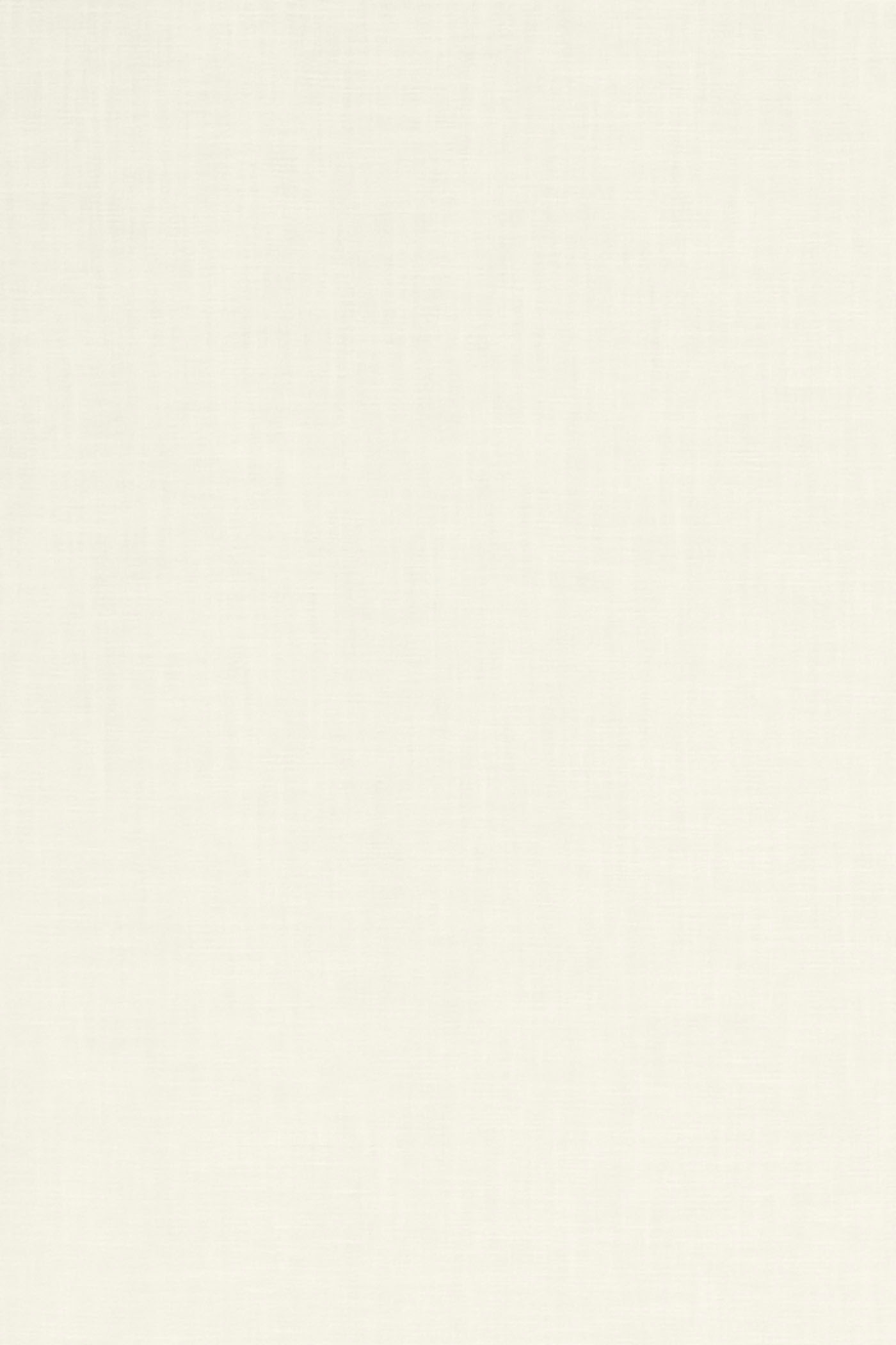 Neutex for you! Vorhang »ALLURE-NXFR148«, (1 St.), halbtransparent, Polyester, unifarben, Strukturmuster, clean, nach Maß