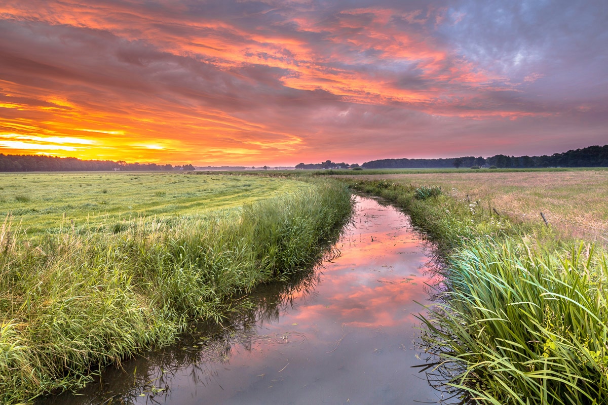 Papermoon Fototapete »Fluss in Feld« günstig online kaufen