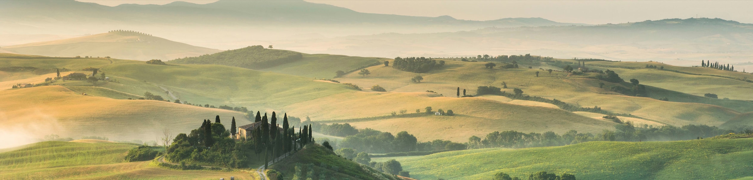 EXPRESS KÜCHEN Küchenrückwand »Toscana« grün