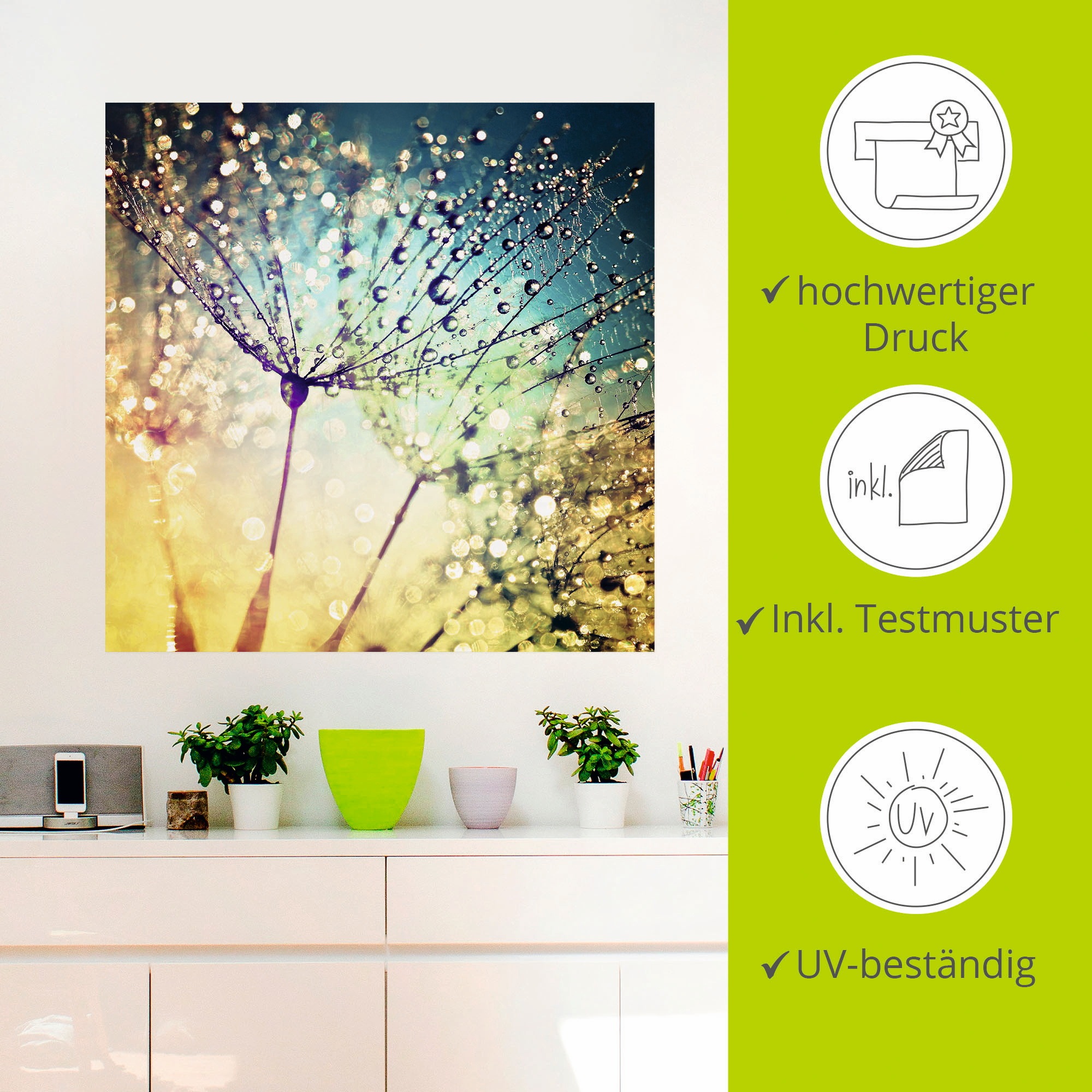 Artland Wandbild »Pusteblume Zaubertropfen«, Blumen, (1 St.), als Alubild, Outdoorbild, Leinwandbild, Poster, Wandaufkleber
