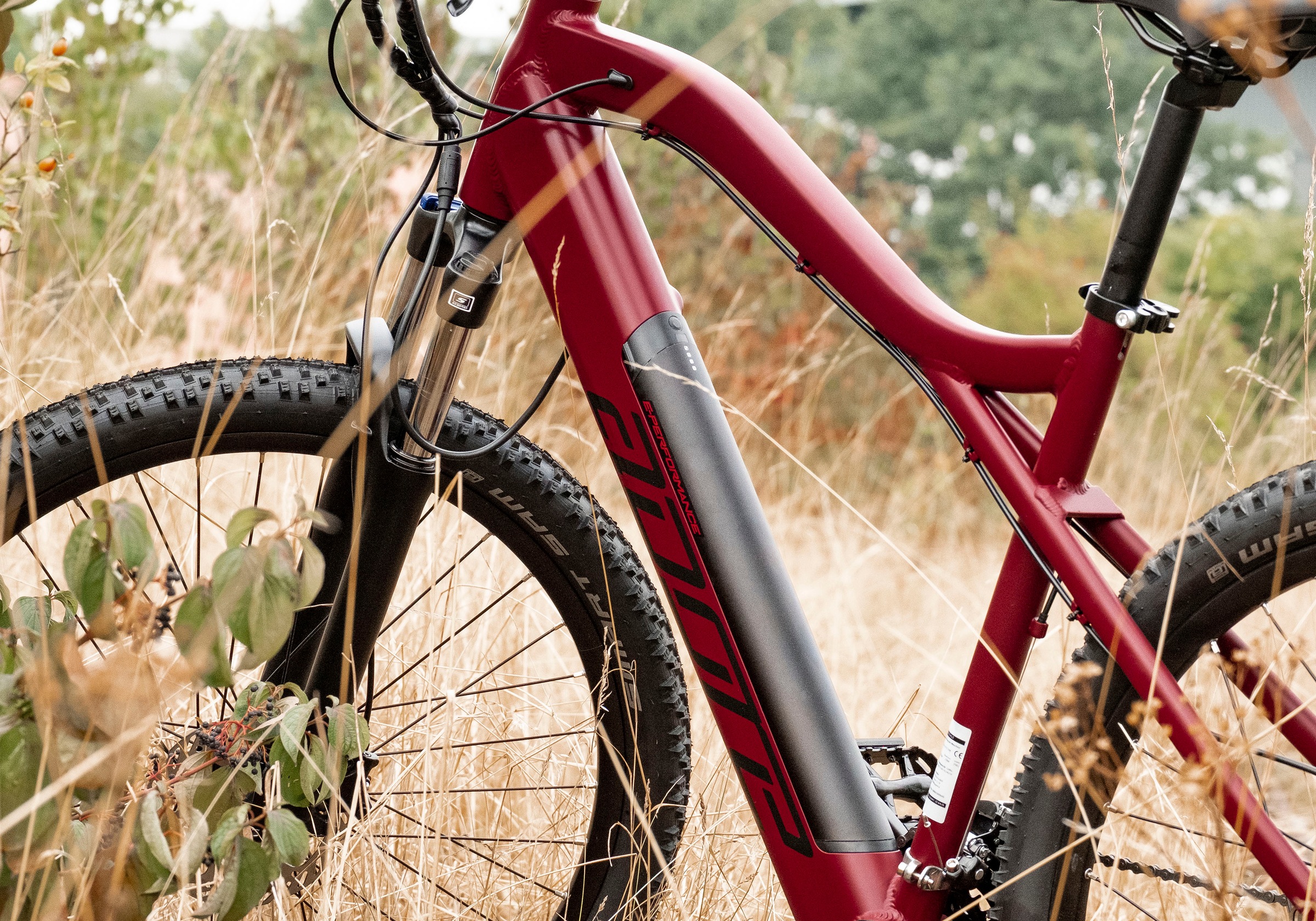 Adore E-Bike »Enforce«, 24 Gang, Shimano, Altus, Heckmotor 250 W, Pedelec, Elektrofahrrad für Damen u. Herren, MTB