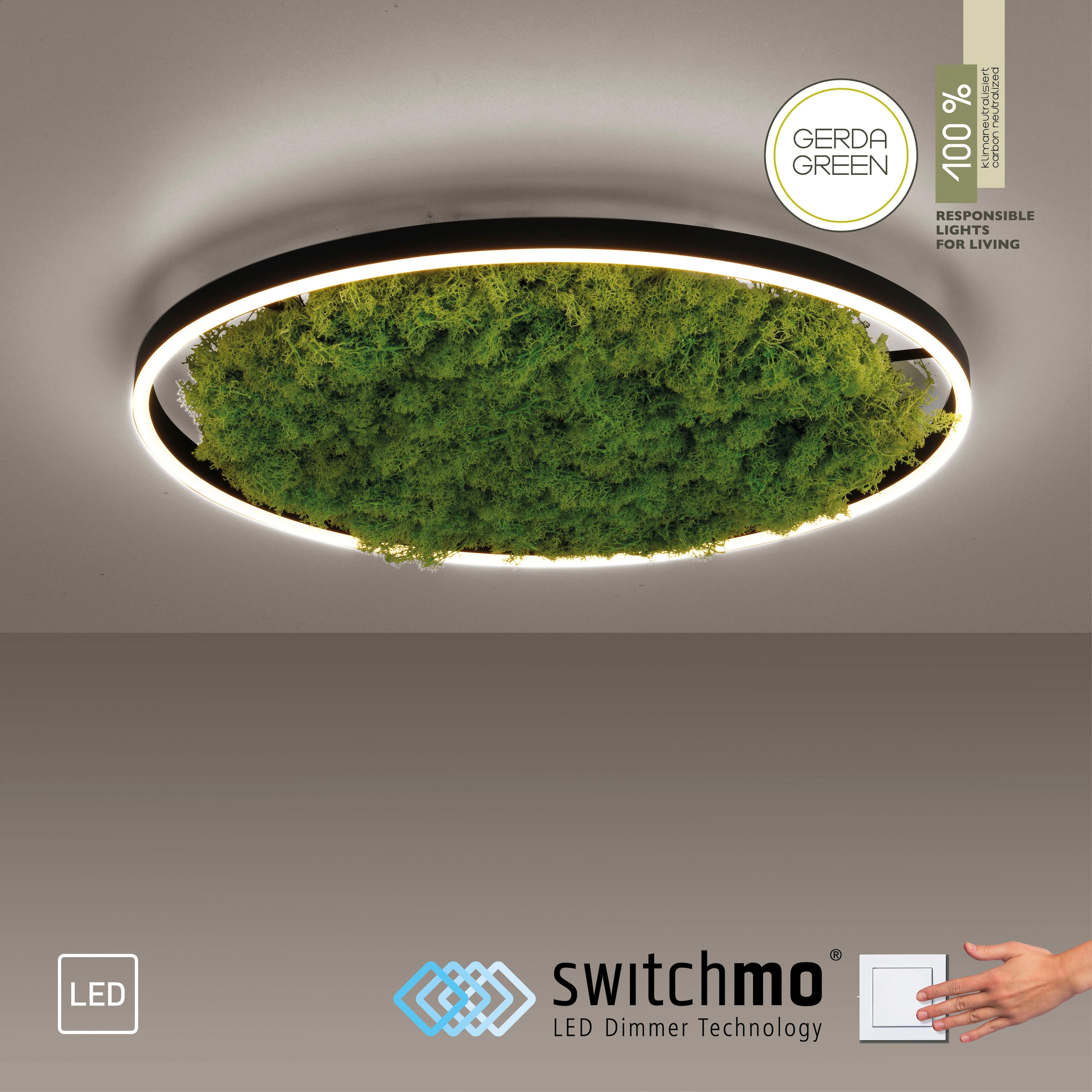 JUST LIGHT Deckenleuchte »GREEN RITU« LED-Board 1 Stk. Warmweiß günstig online kaufen