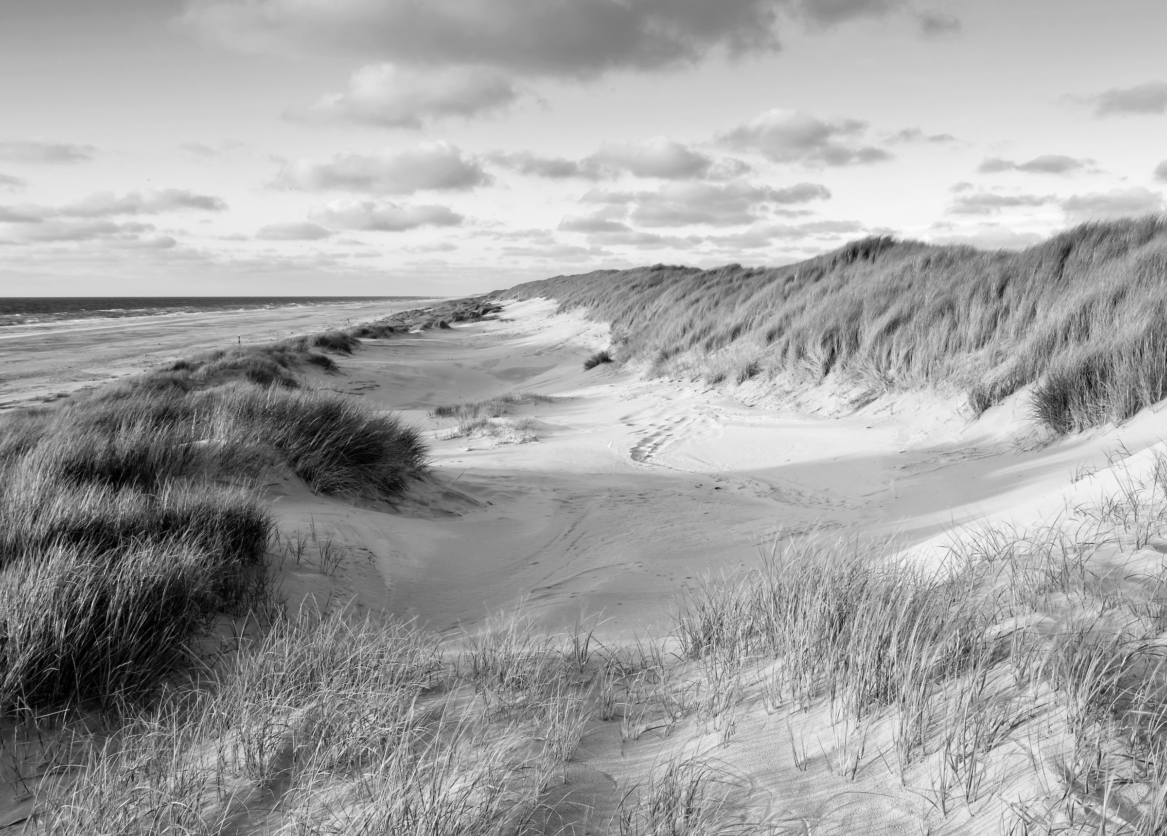 Papermoon Fototapete »Strand Schwarz & Weiß« günstig online kaufen