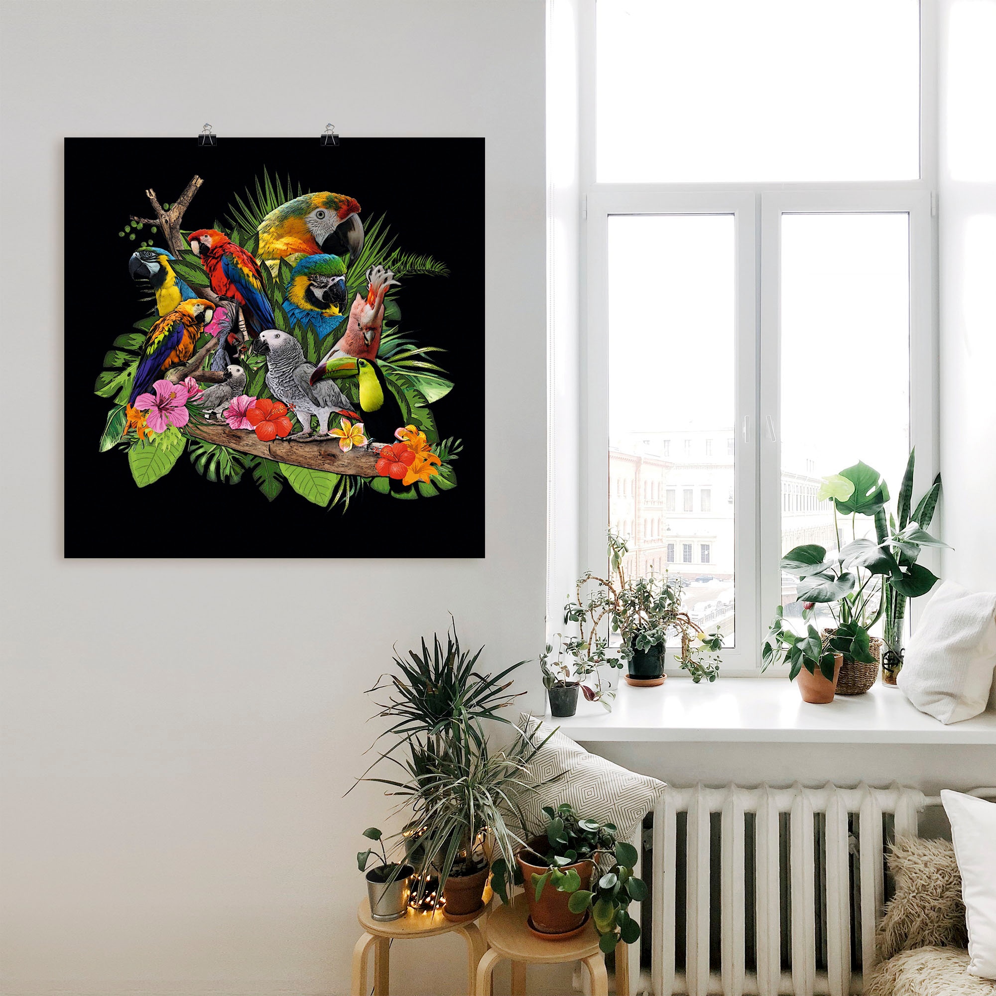 Artland Wandbild »Papageien Graupapagei Kakadu Dschungel«, Vögel, (1 St.), als Alubild, Outdoorbild, Leinwandbild, Poster, Wandaufkleber