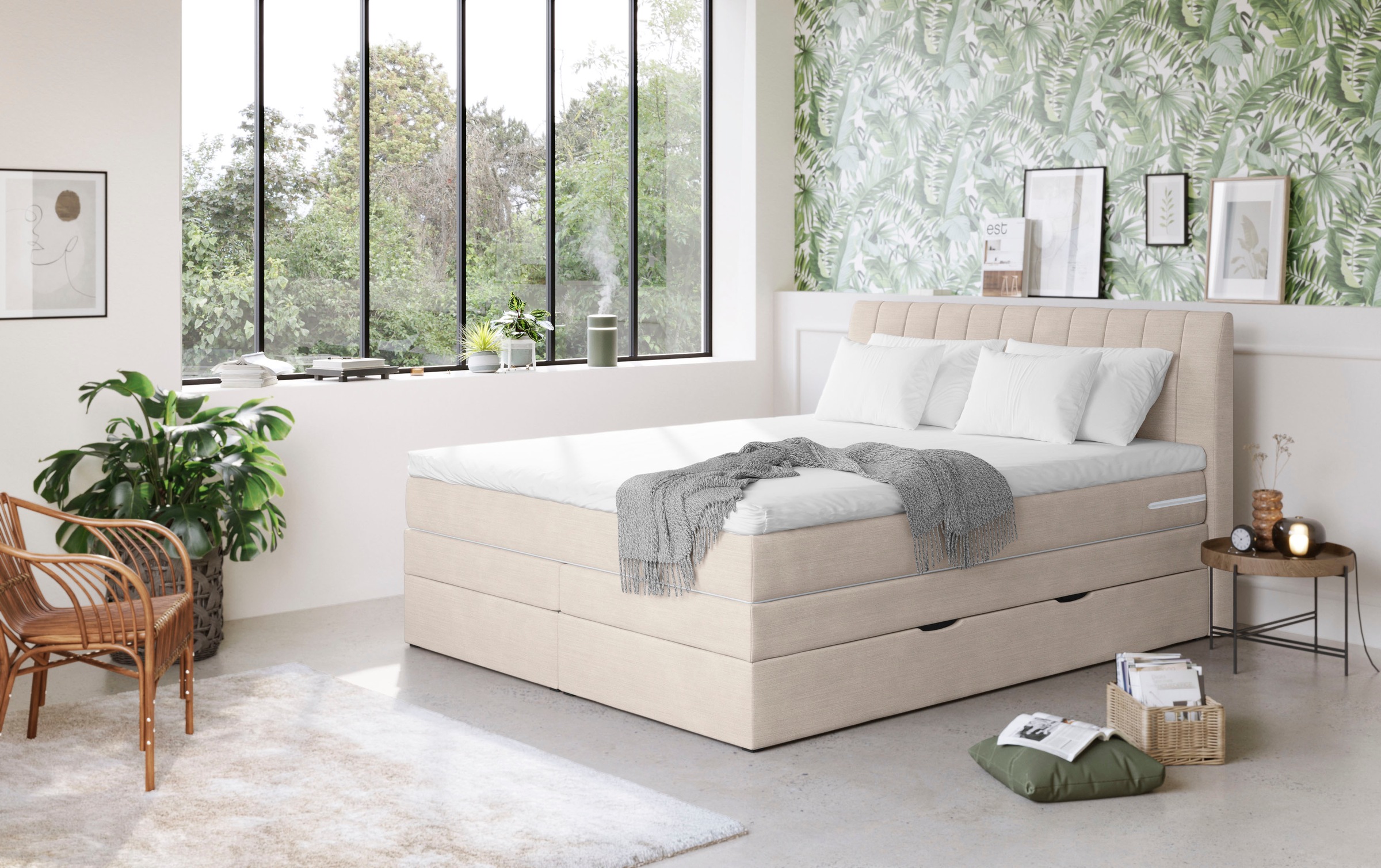 COTTA Boxspringbett »Shark inkl. Bettkasten und Topper«, erhältlich in den günstig online kaufen