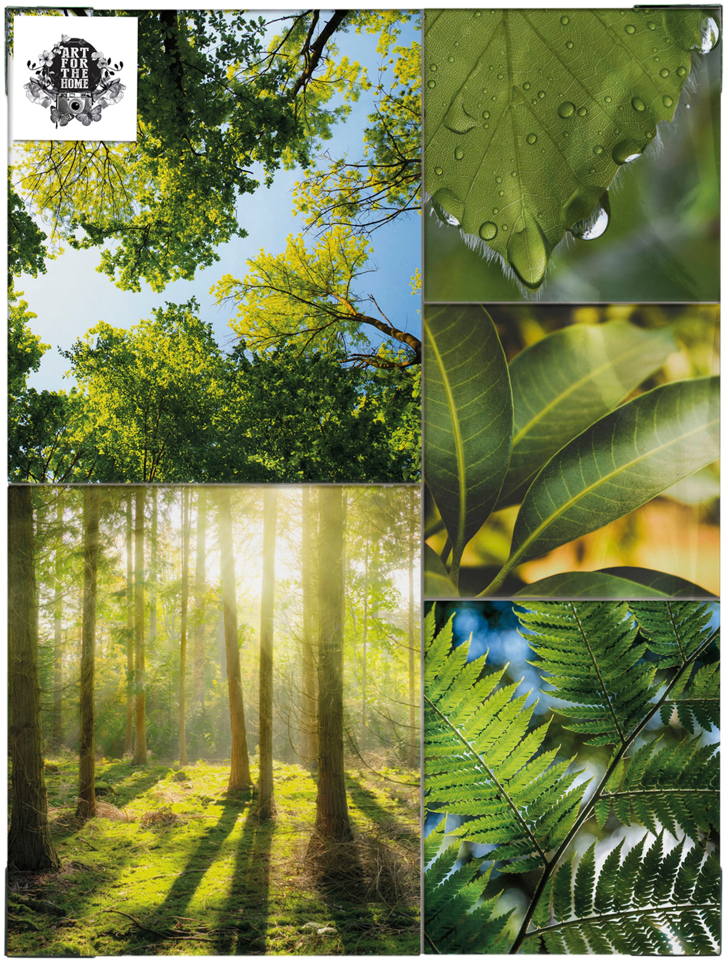 Art for the home Leinwandbild »Pure Natur«, Landschaft, (Set)