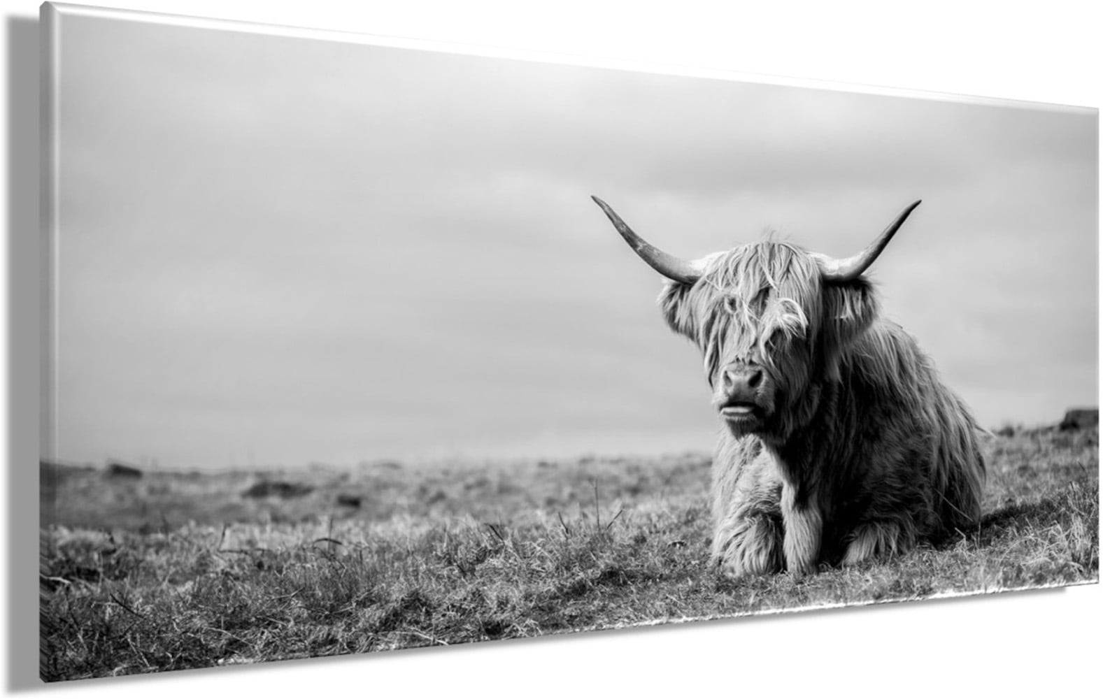 Bönninghoff Bild »HOCHLANDRIND LIEGEND 33x70 cm – Leinwandbild Keilrahmen Deko modern«