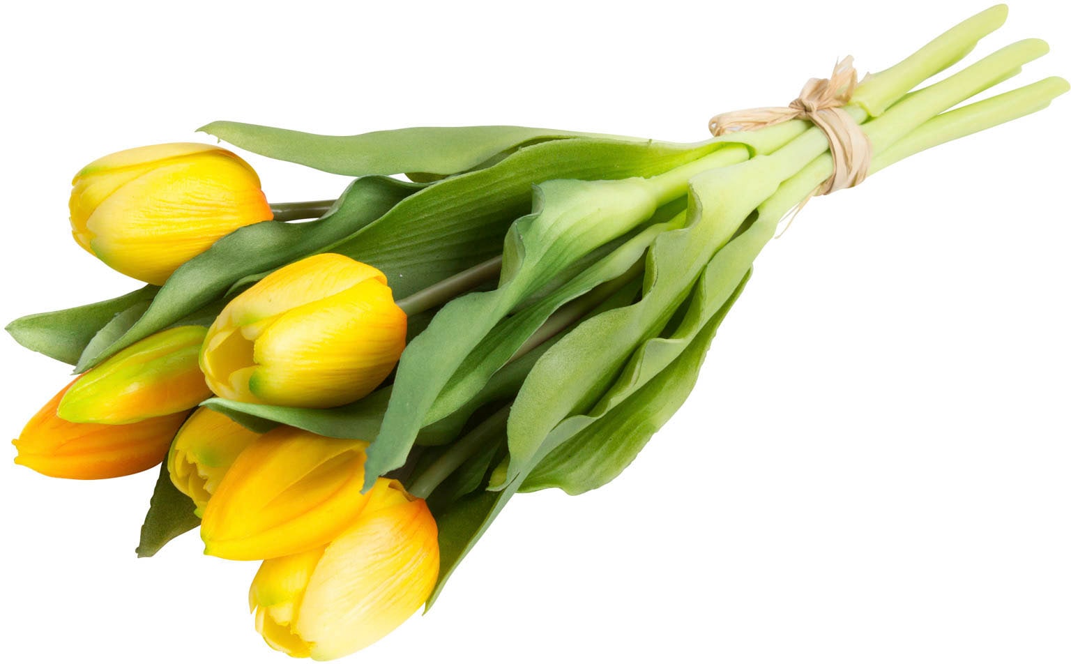Raten Kunstblume auf Botanic-Haus bestellen Tulpenbündel im »Willa«, 7er-Set