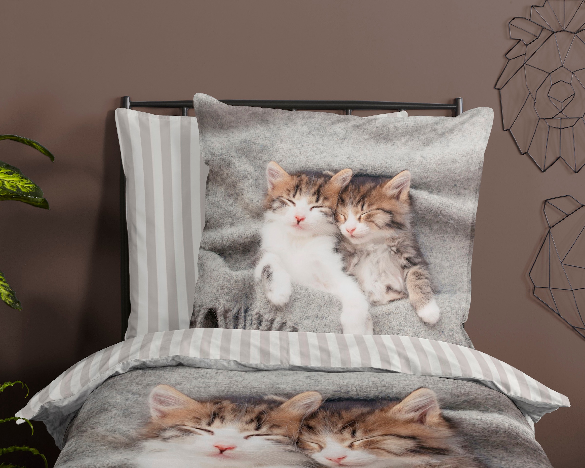 PURE luxury collection Kinderbettwäsche »Snooze«, Mikrofaser, 135x200, Pflegeleicht, Reißverschluss, Wende, Kind, Katze