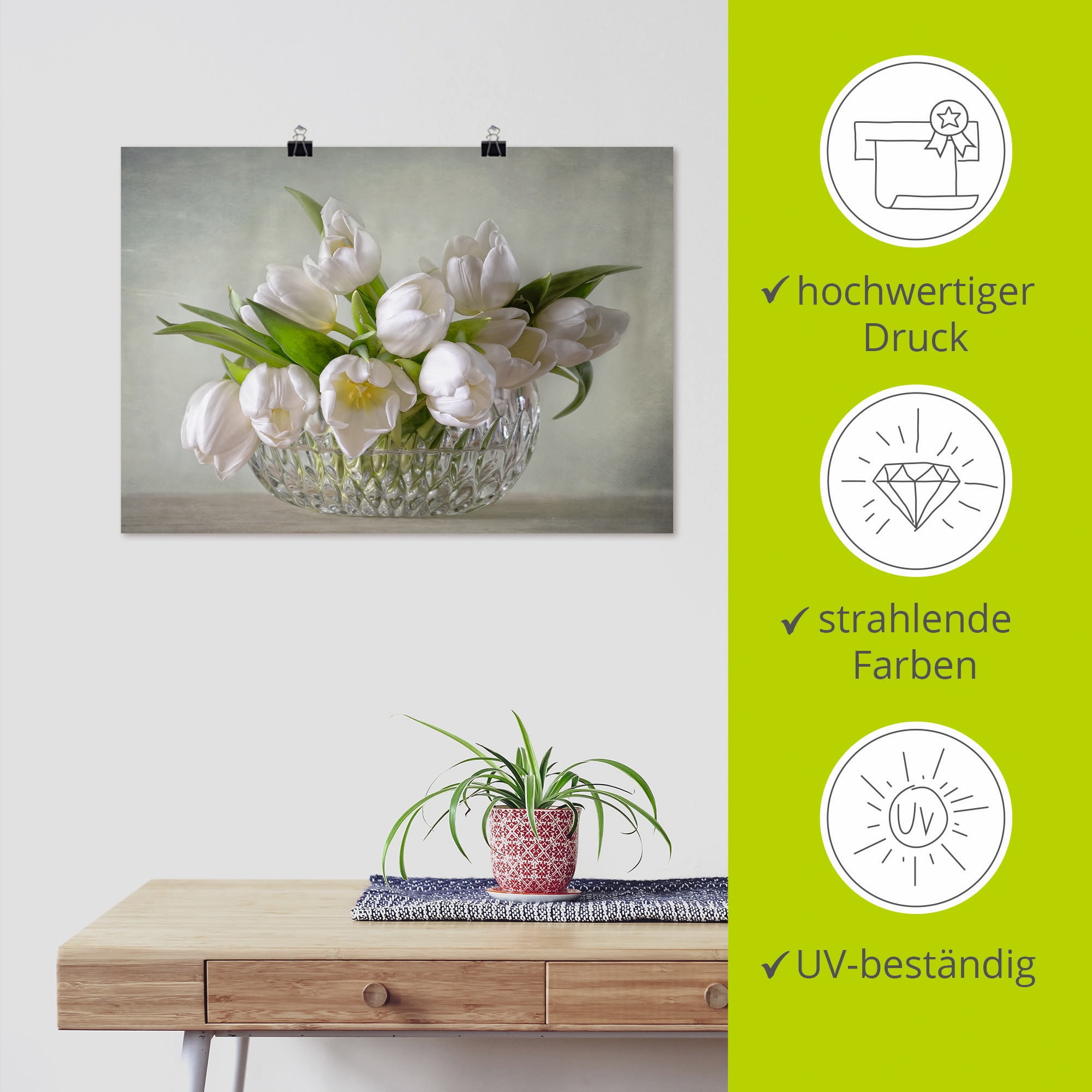 Artland Wandbild »Weiße Tulpen« Blumen 1 Stk. tlg. als Leinwandbild, Poster in verschied. Größen
