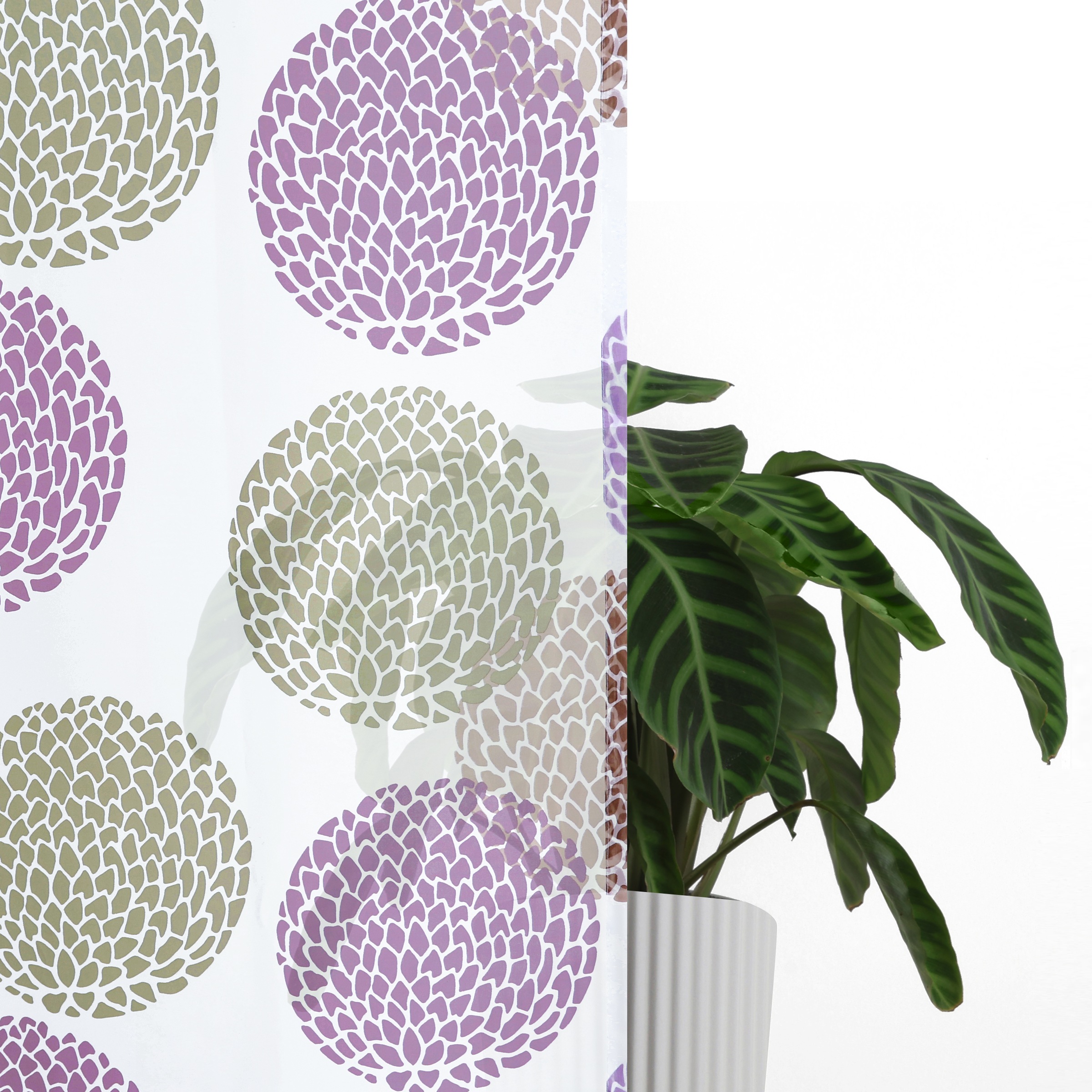 my home Gardine »BELEM«, (1 St.), 1 Schal, Polyester, Kreise