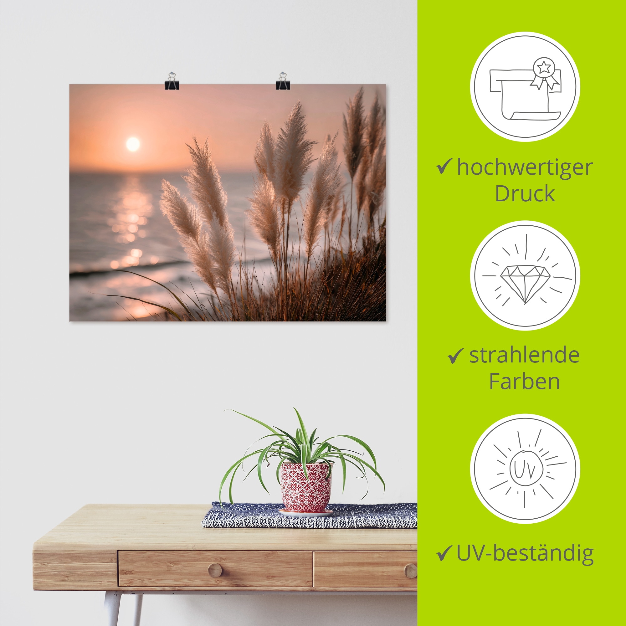 Artland Wandbild »Küstenträume im Abendwind« Gräser 1 Stk. tlg. als Alubild, Leinwandbild, Poster, Wandaufkleber in verschied. Größen