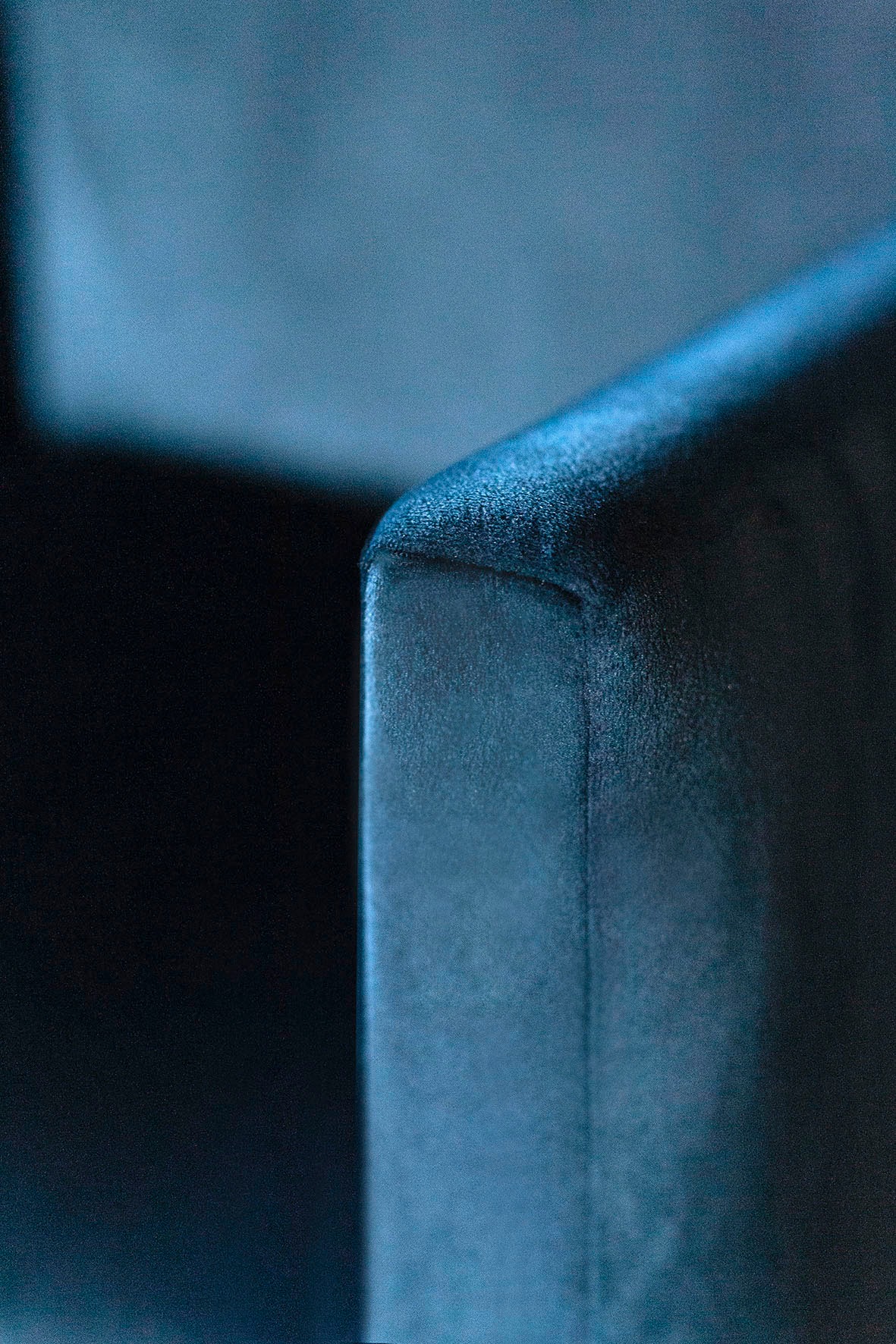 Fink Armlehnstuhl »DAVID«, Samtvelours VELVET, mit geschwungener Rückenlehne